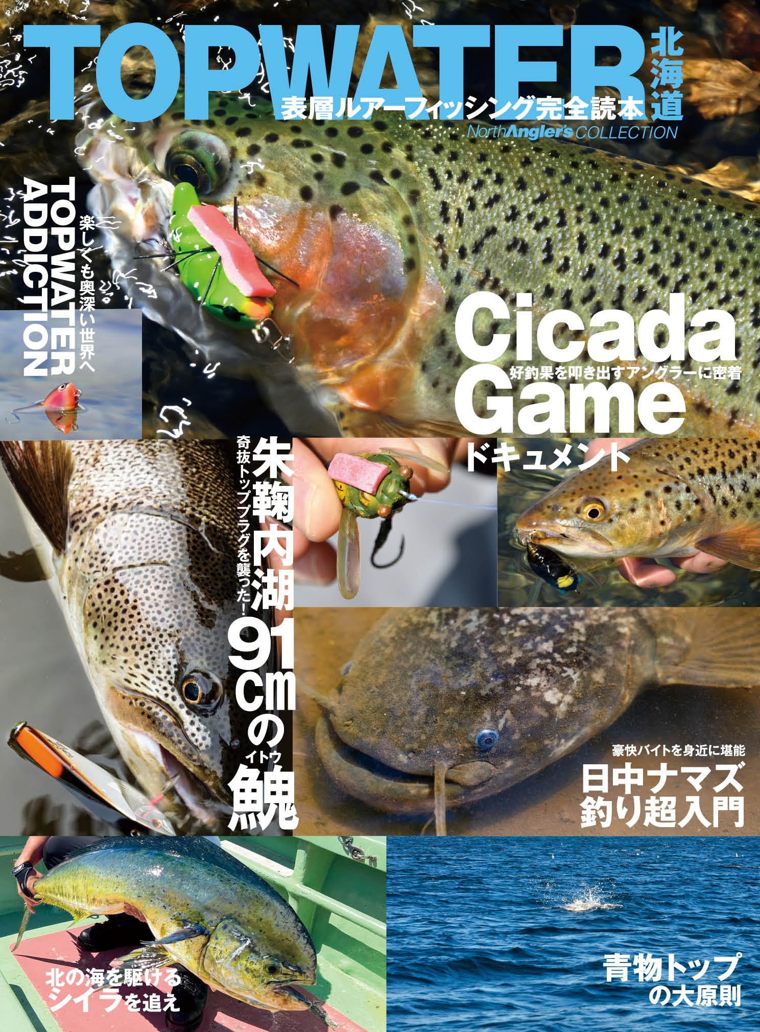 TOPWATER北海道 表層ルアーフィッシング完全読本 | つり人社北海道支社