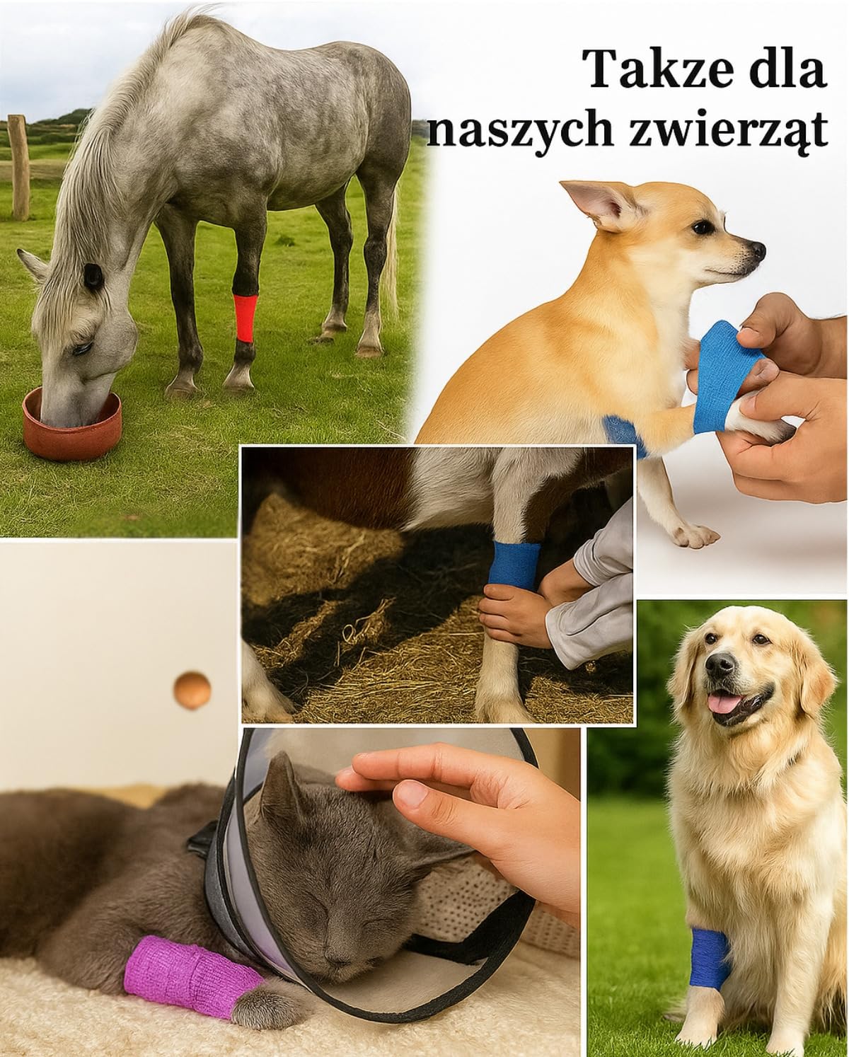Sportowy bandaż samoprzylepny 36 szt. - Elastyczna taśma klejąca na rzep 2,5 i 5 cm - oddychająca, wodoodporna - do pielęgnacji zwierząt i ludzi - kolorowa i hipoalergiczna