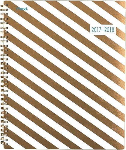 AT-A-GlanceCalendario escolar planificador semanalmensual Julio 2017-Junio 2018 8-12 x 11 Fiesta de jardín-38 Rayas