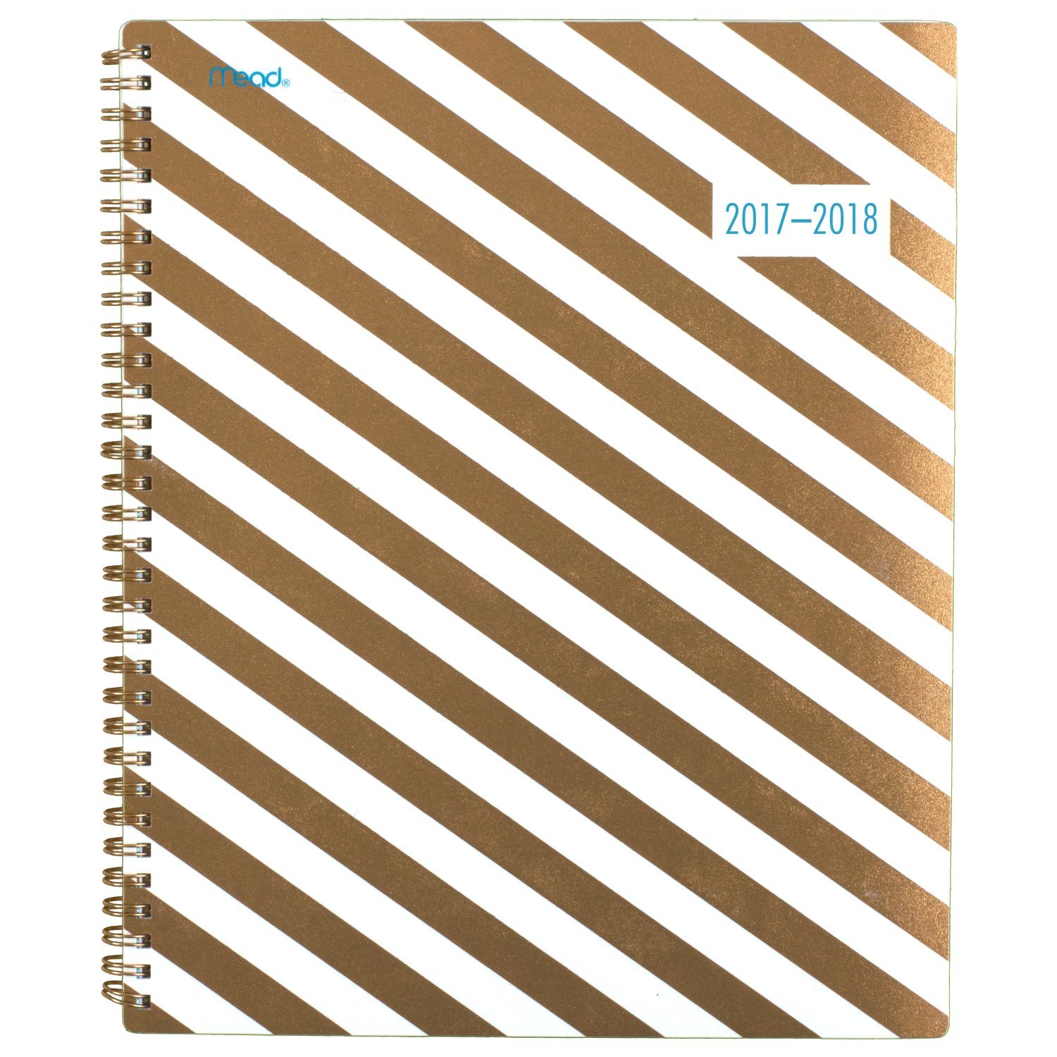Mead Academic Weekly/Monthly Planner, July 2017 - June 2018, 8-1/2" x 11", Gold & Bold, Design Will Vary (CAW50825)