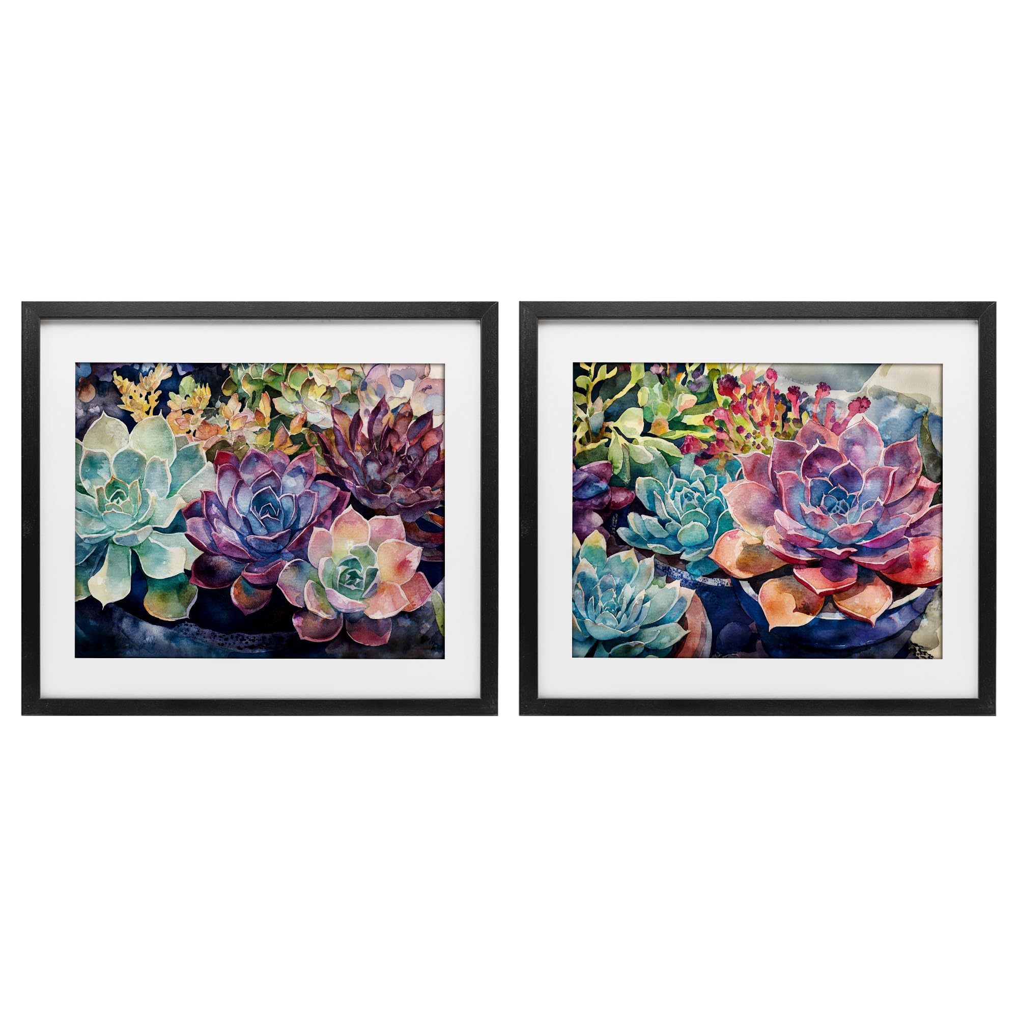 Stupell Industries Midnight Black (Textured) Sunny Watercolor Succulents, 17 X 21 Inch Framed Print Under Glass Set