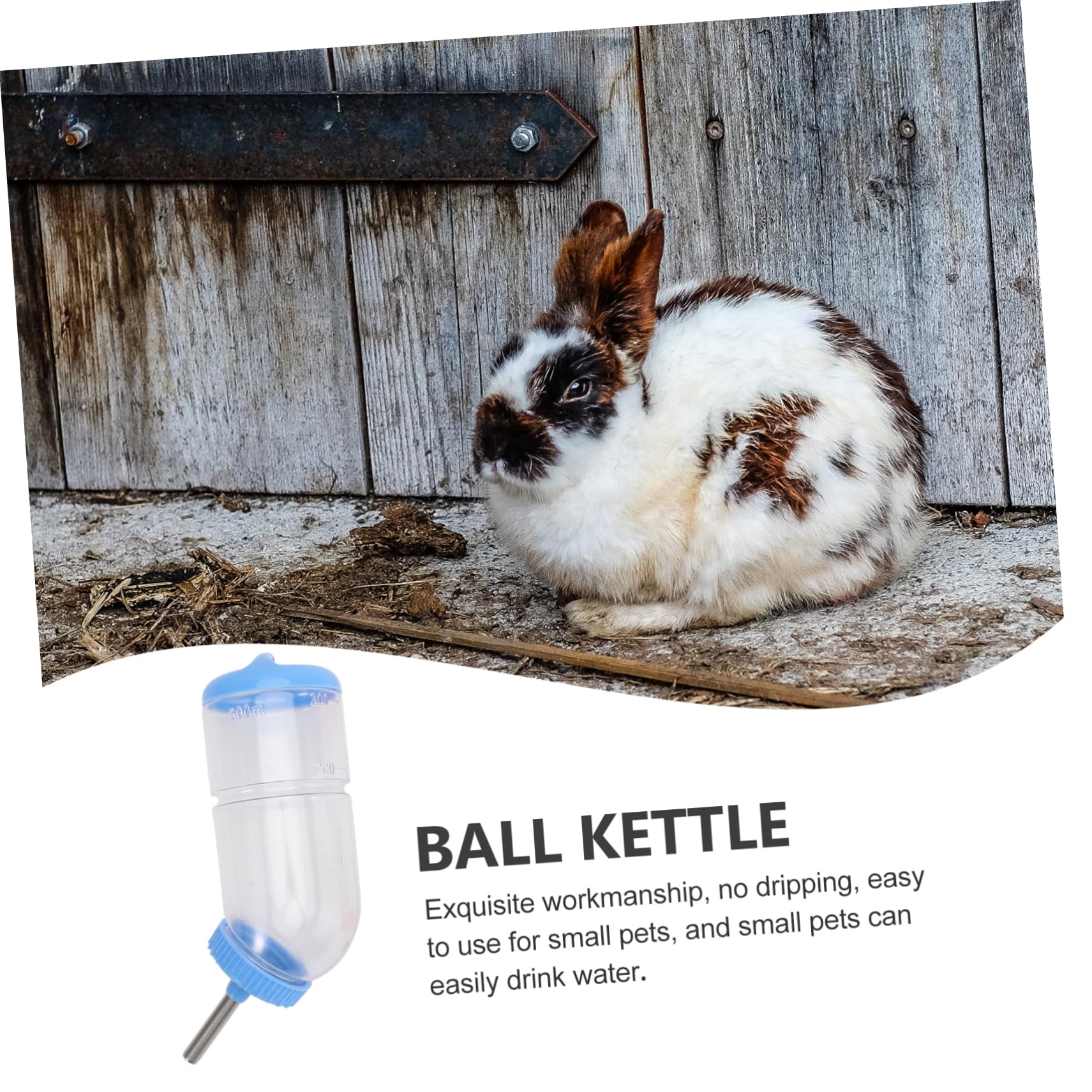 INOOMP 6pièces Bouteille Eau pour Animaux Abreuvoir à Créatif pour Rongeurs Et Petits Animaux De Couleur Aléatoire