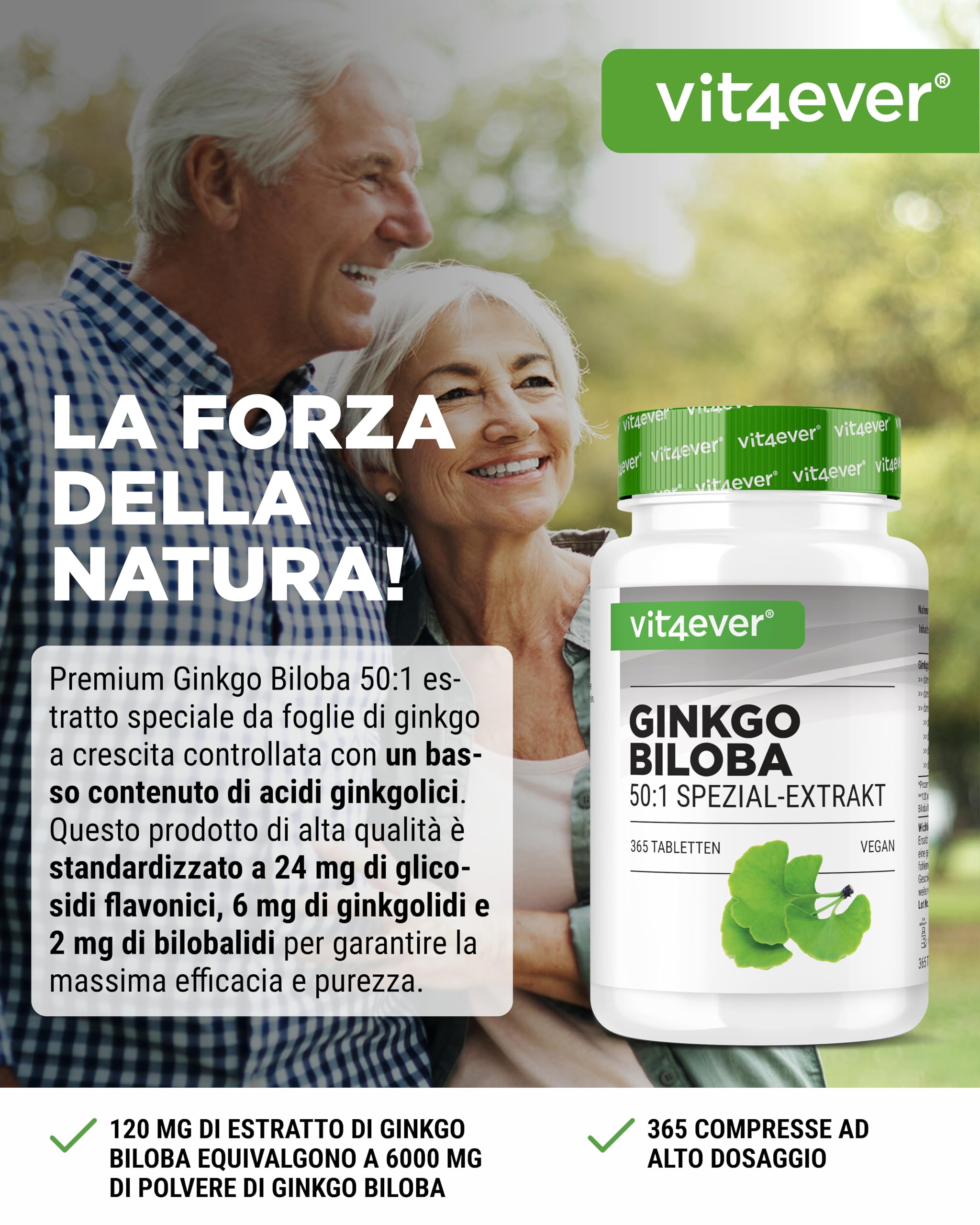 vit4ever Ginkgo Biloba 6000 mg - 365 Compresse – Estratto Premium: con Flavonglicosidi + Ginkgolidi-Lattoni Terpenici e privo di Acido Ginkgolico - Alto dosaggio – Vegano