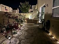 Review Image by C. Willoughby C. Willoughby