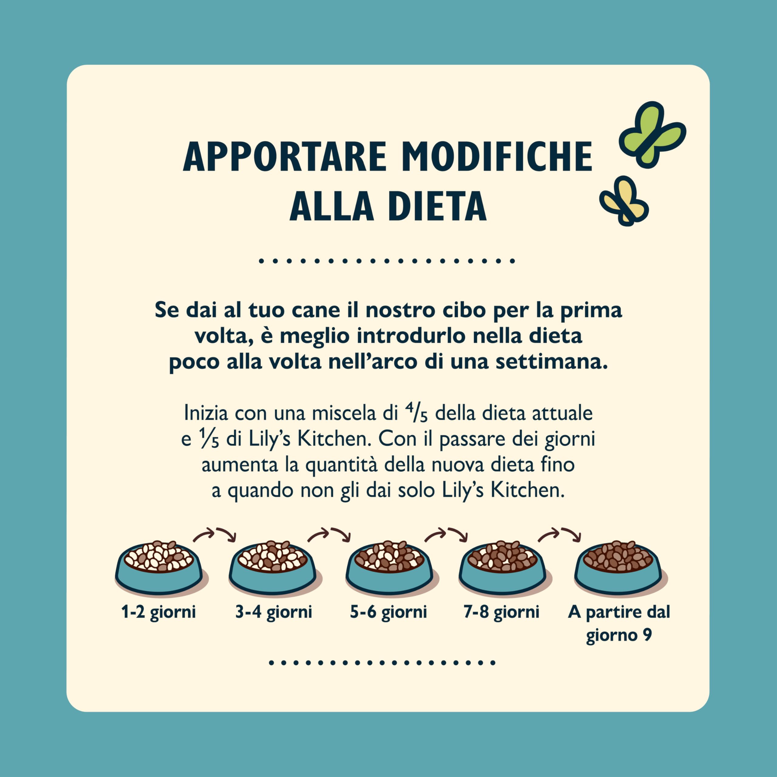 Lily's Kitchen Prodotto con ingredienti naturali Cibo umido per Cani Tortino di pesce 6 x 400 g