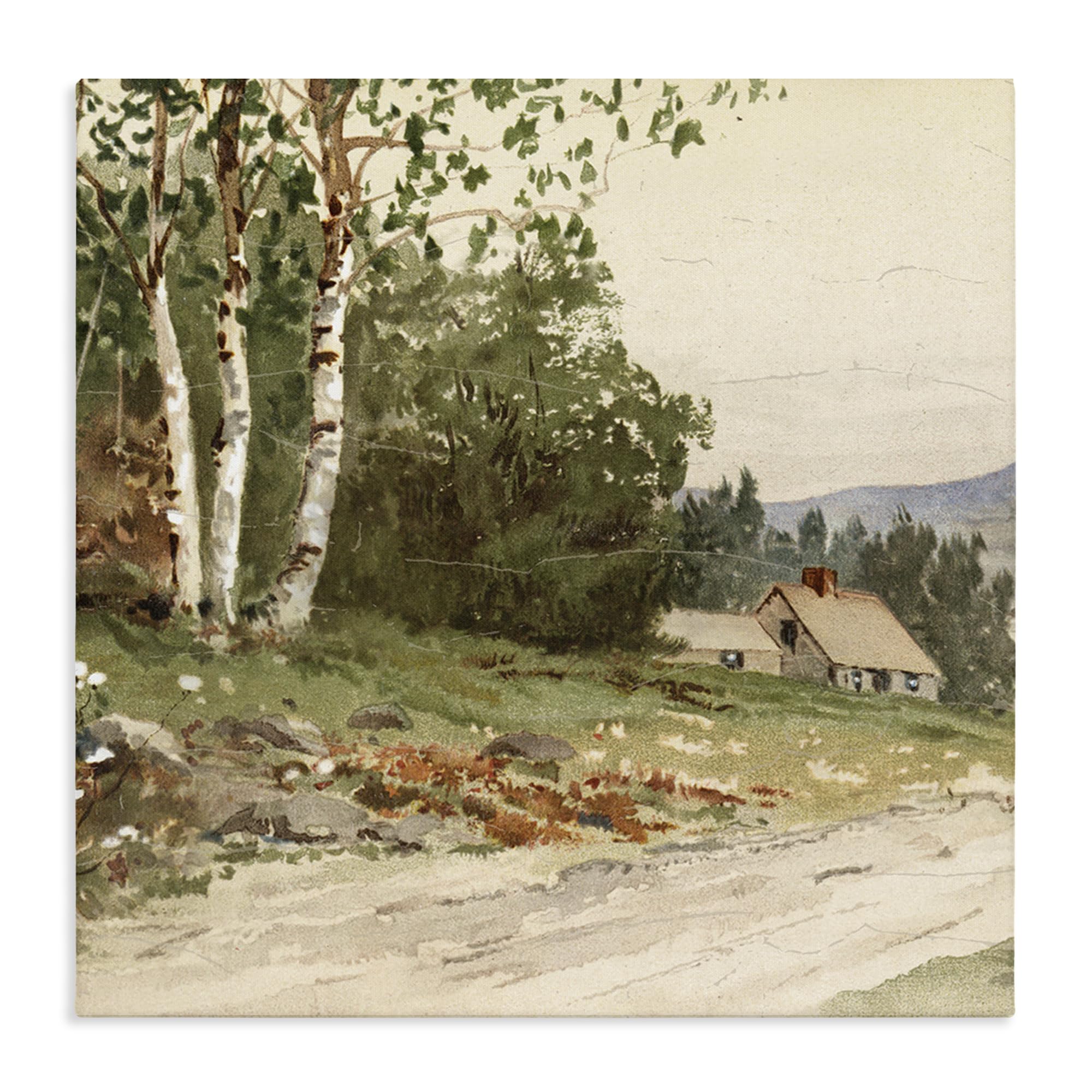 'Farm House Dirt Road'| Canvas Art