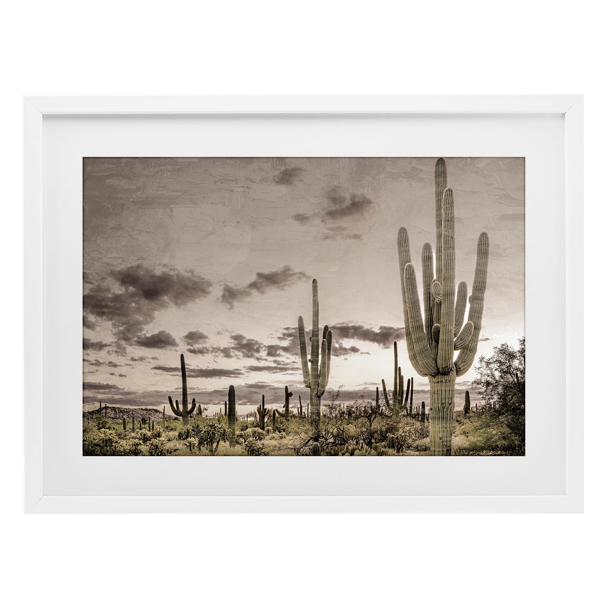 Stupell Industries Desert Sky Cactus Landscape 'Desert Sky Wilderness', Framed Print Under Glass, White, 23 X 17 Inches, Easy To Hang And Sturdy, Made In Usa, By Kim Allen