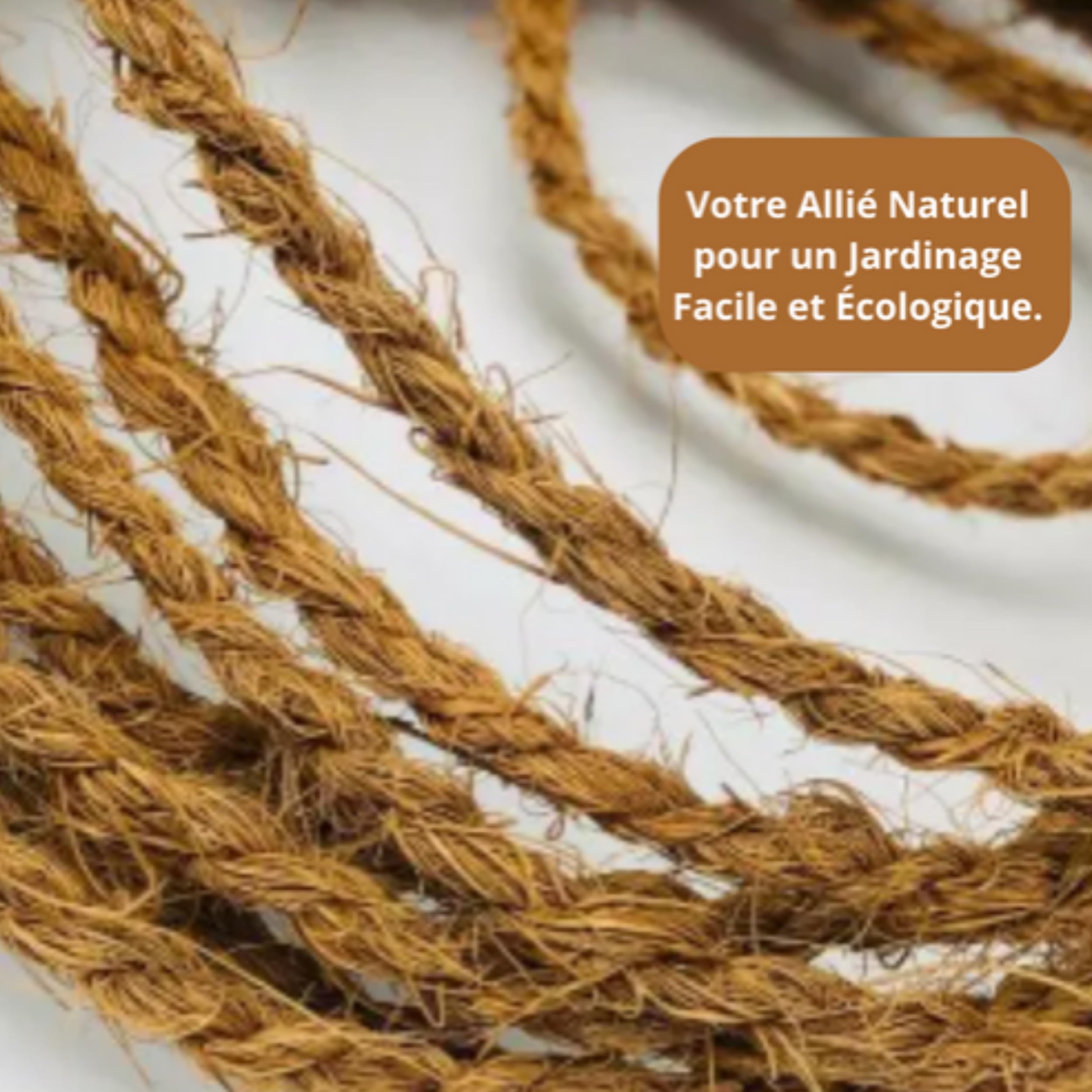 Lot de 2 Cordes en Fibre de Coco Naturelle 4 mm d'épaisseur x 30 mètres - Durable et Écologique, Idéal pour Jardinage, Artisanat, Décoration, Bricolage, Loisirs Créatifs - Cordon Naturel et Résistant.