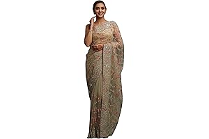 Delicate Net Saree with Embroidery