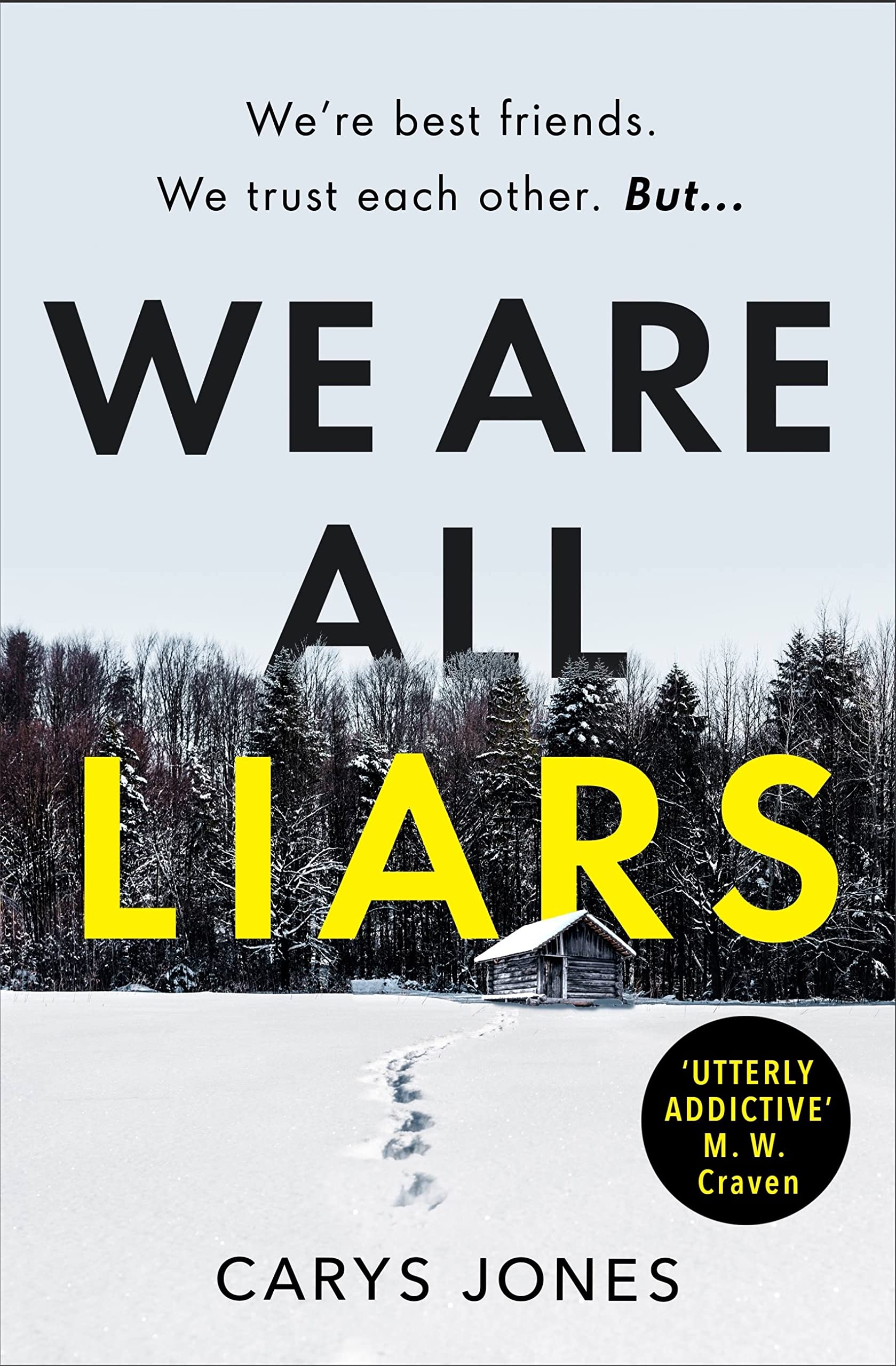 We Are All Liars by Carys Jones PAPERBACK 9781409196013