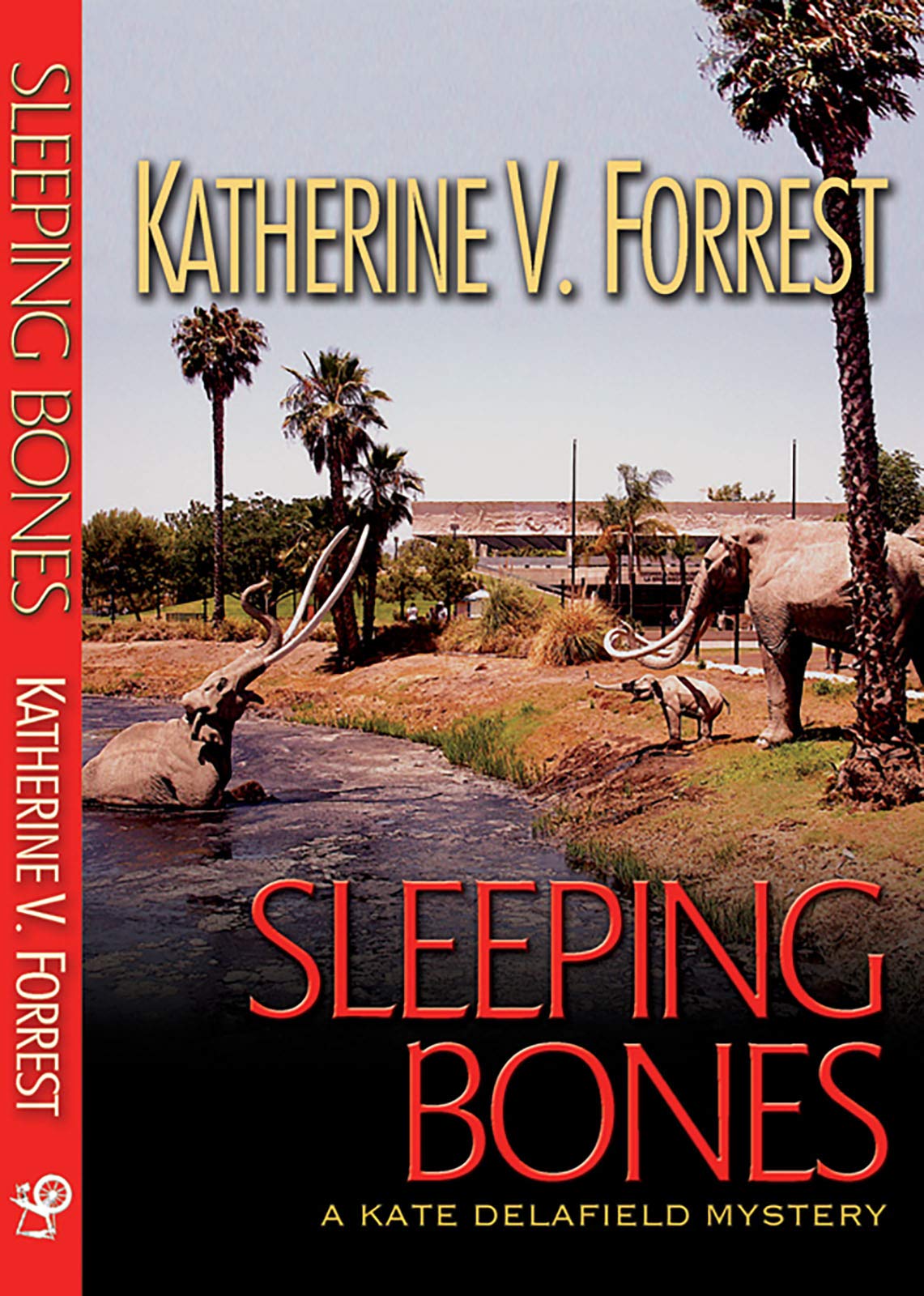 Buy Sleeping Bones — BookShops.in