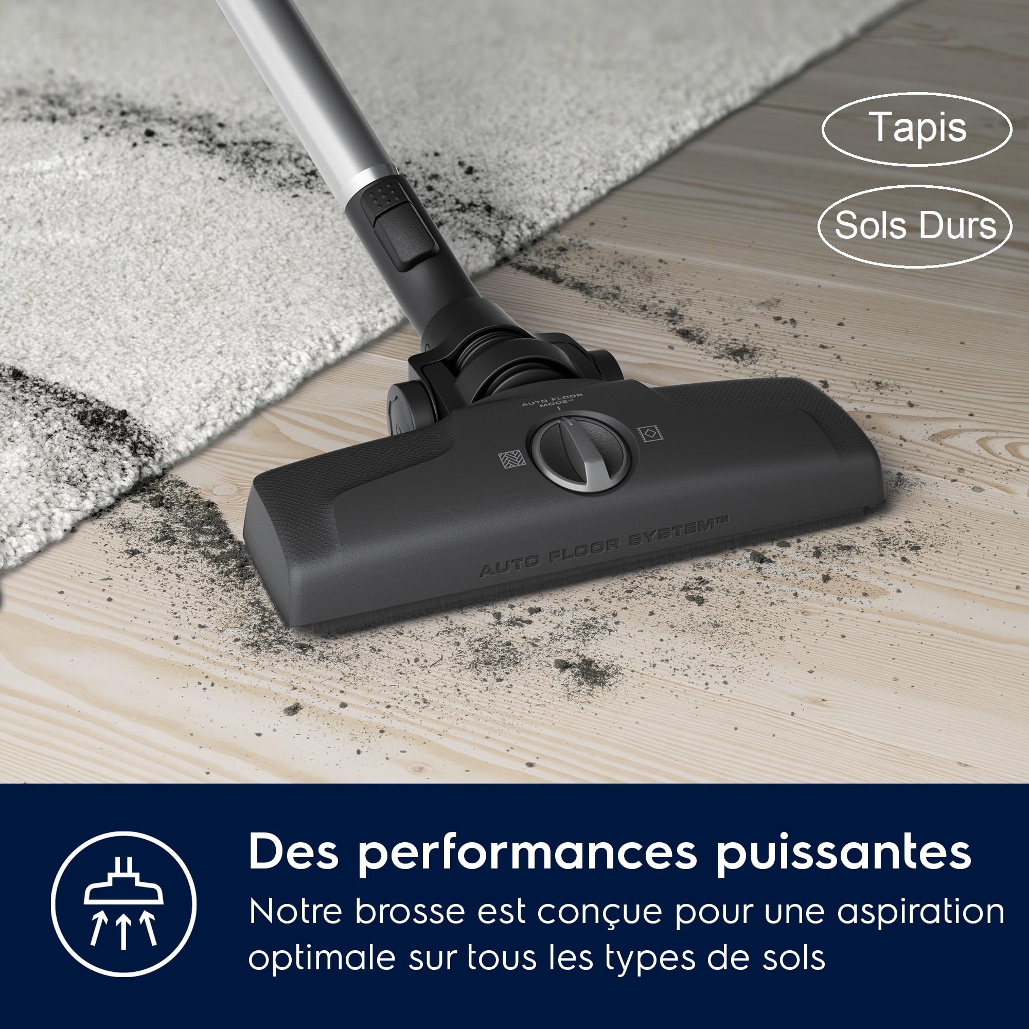 Electrolux Animal 600 EL61A4UG, Aspirateur Traineau sans Sac, Accessoires Poils d'animaux, 6 étapes de Filtration, Gain de Place, Technologie Cyclonique, Gris