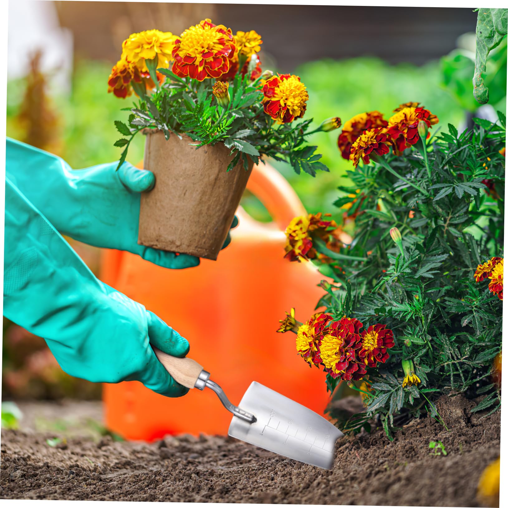 Toddmomy 5 Stück Schaufel aus Edelstahl im Freien Topfschaufel Schaufel Graben Pflanzkelle Handschaufel Gartenhandkelle Gartenspaten Kelle Gartenwerkzeug Gartenkellen 410er Edelstahl