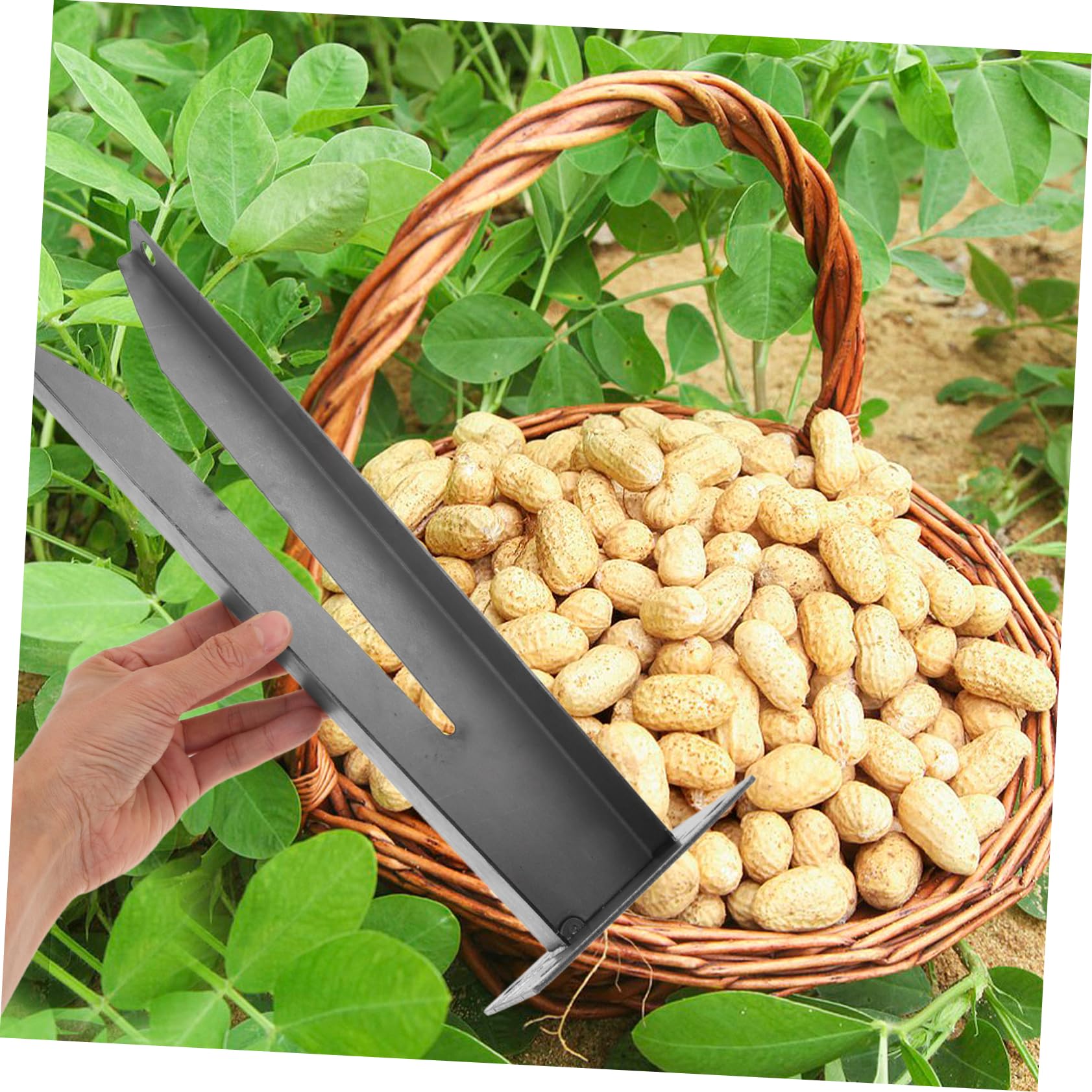 MOBUTOFU Peanut Picker Remover Peanut Tool Peanut Picker Peanut Remover Farm Accessory Farm Tool Farm Picker Tool Peanut Remover Tool Peanut Tool