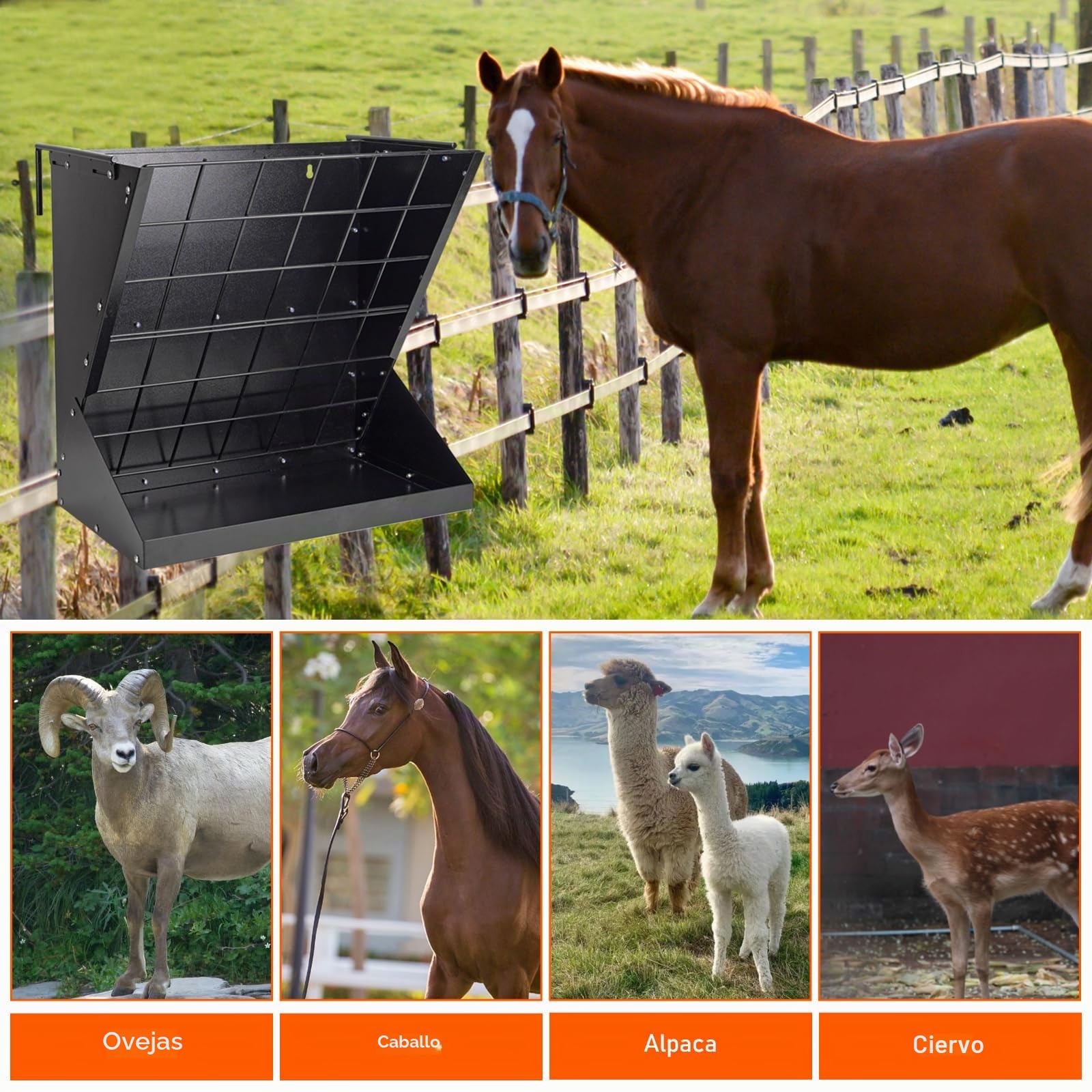 Comedero De Heno Para Caballos Estante De Heno De Montaje En Pared Para Caballos Metal Galvanizado De Alta Resistencia 2 En 1 Comedero De Ganado Para Cabras, Ovejas, Caballos