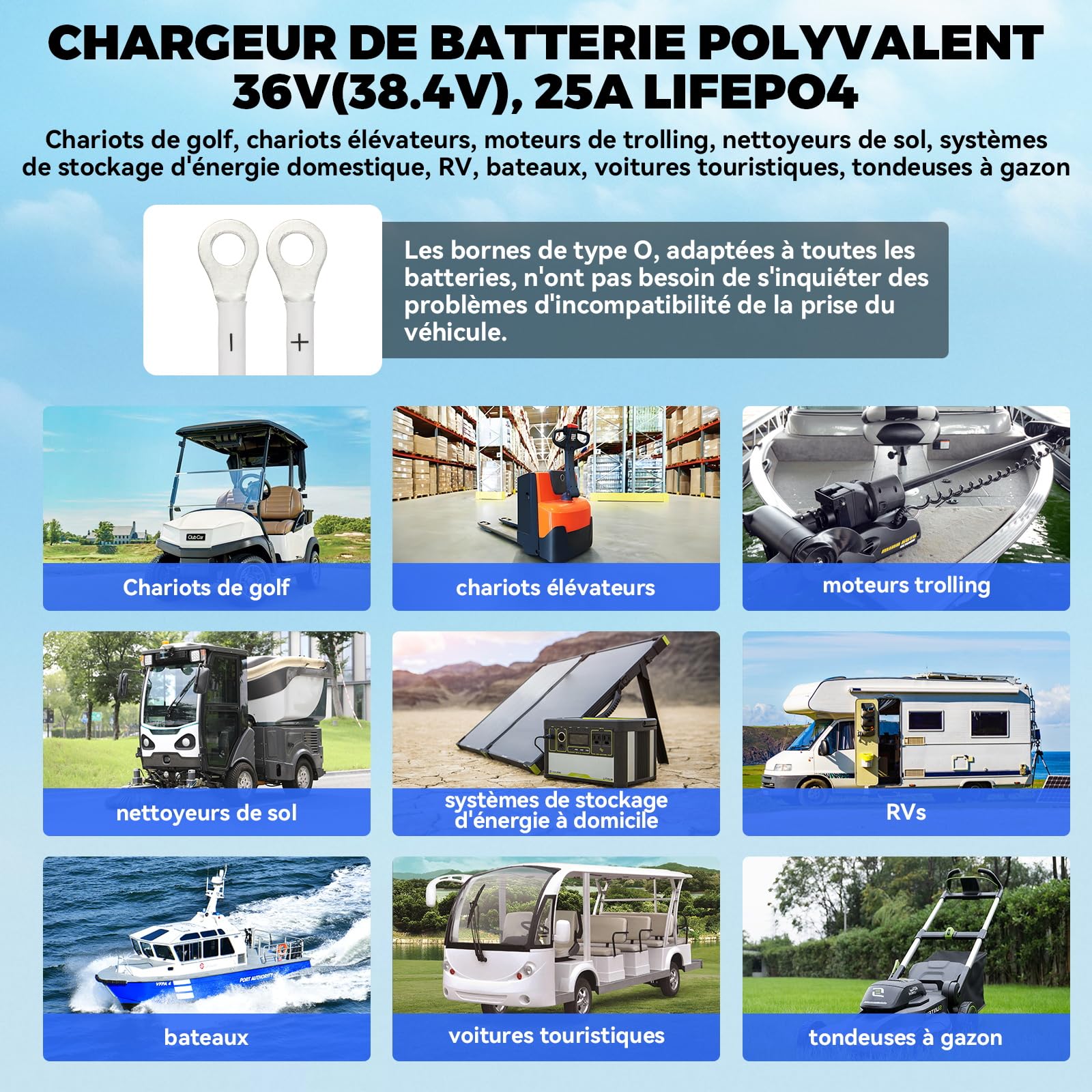 KAISAL 43.8V 25A Chargeur de Batterie LiFePO4 pour 36V(38.4V) Batterie LiFePO4, 0V Activation Chargeur Batterie Lithium 36V, IP67 étanche，pour Voiture de Golf, RV et énergie Solaire