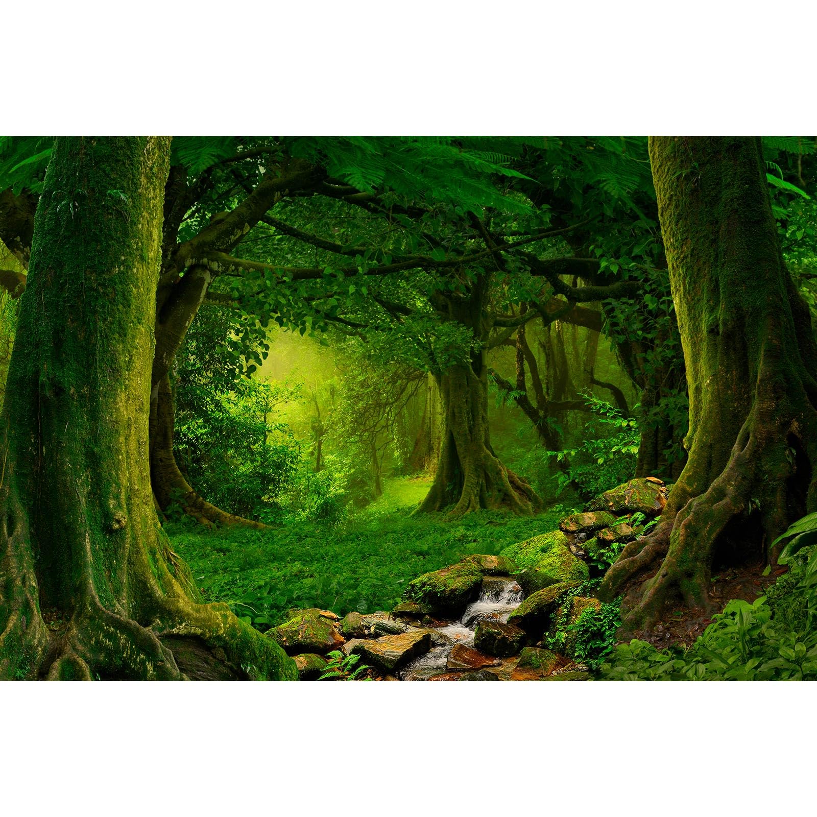 Jungle Forest Backdrop Outdoorsy Camping Theme Party River Stream Photography Background Mysterious Rainforest Jungle Forest Tree Backgrounds Natural