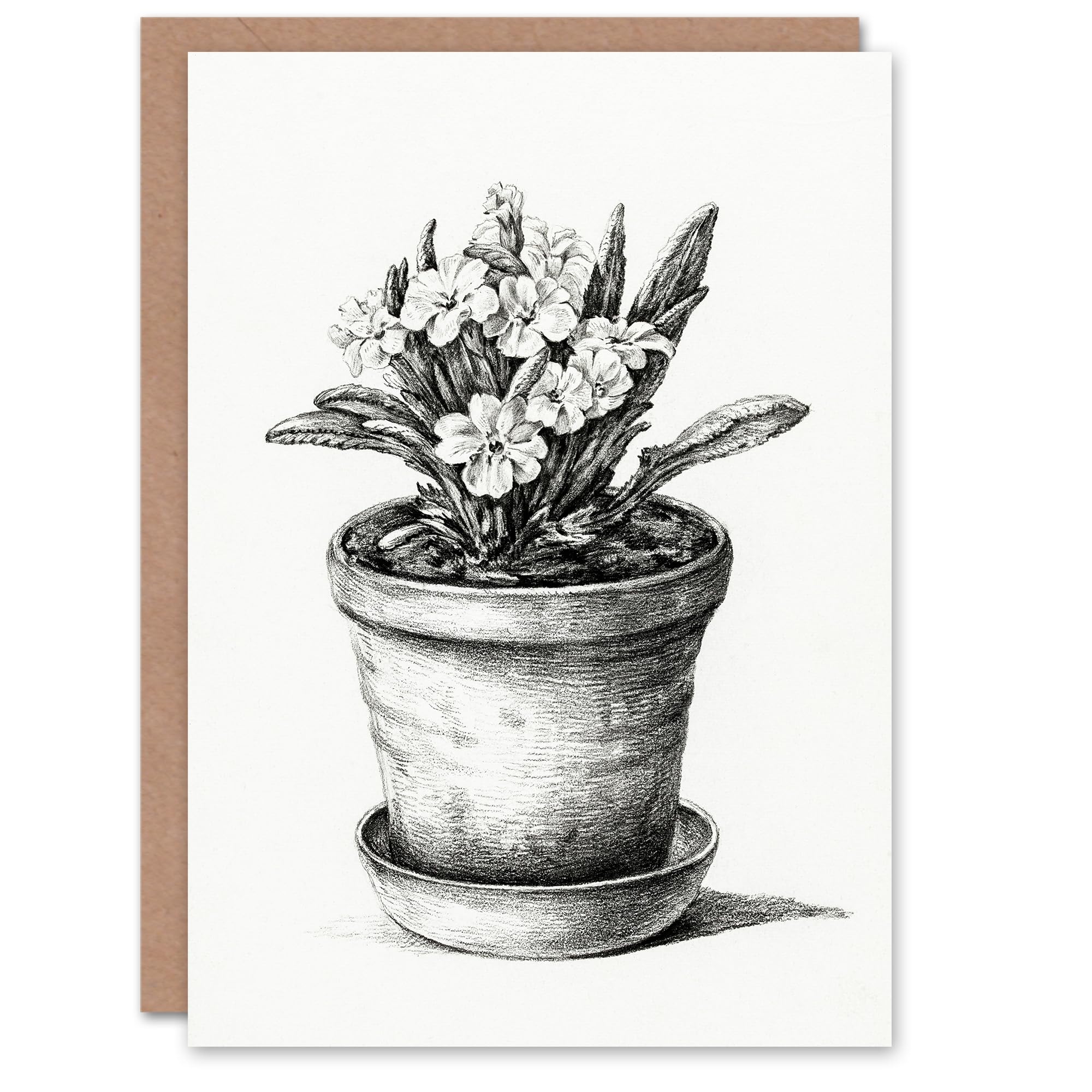 Artery8 Jean Bernard Art Card Potted Flowering Plant Pencil Drawing
