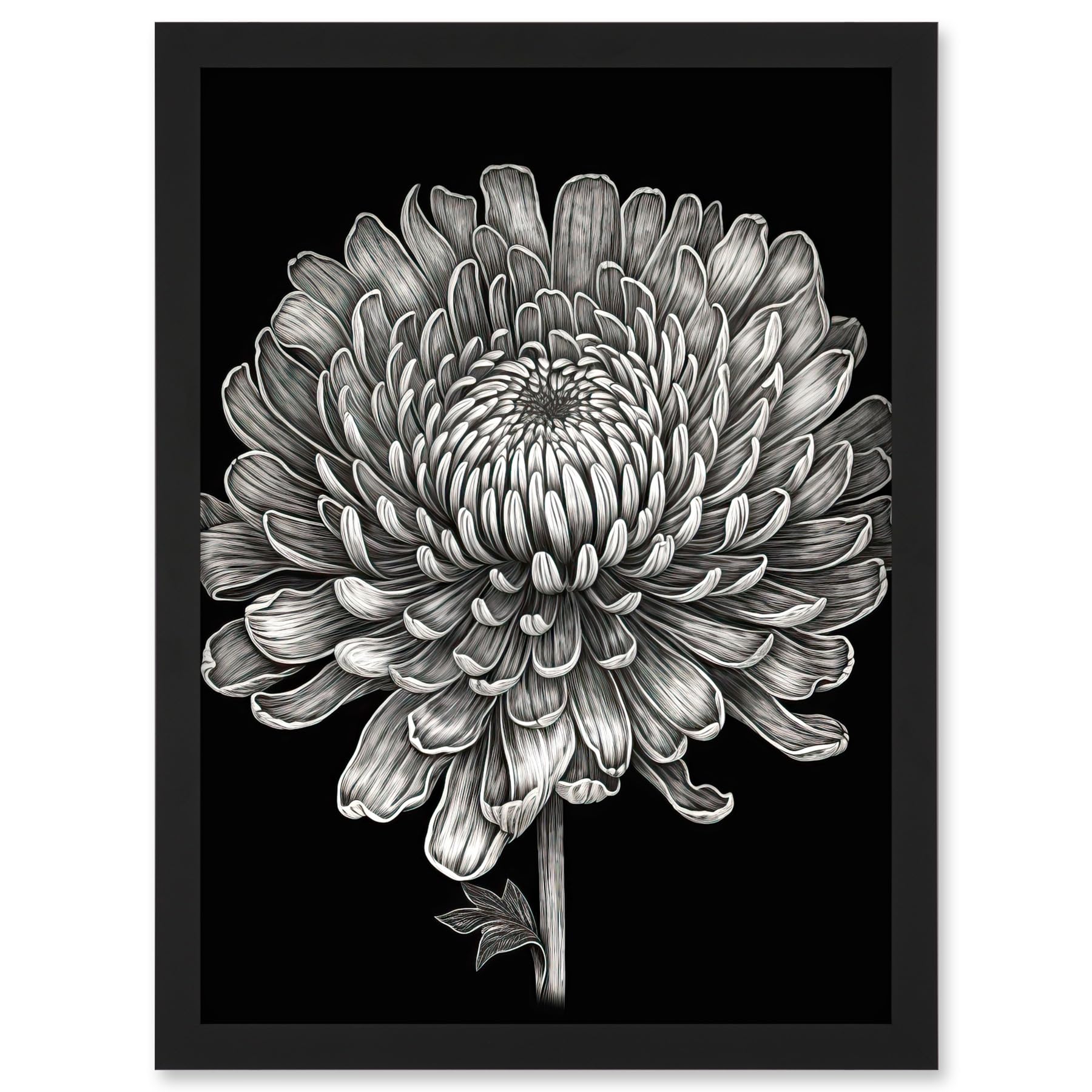 Artery8 Detailed Chrysanthemum Flower Bloom Illustration Artwork Framed A3 Wall Art Print