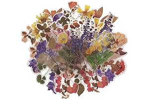 Retro Decals: 40-Piece Vintage Botanical Stickers