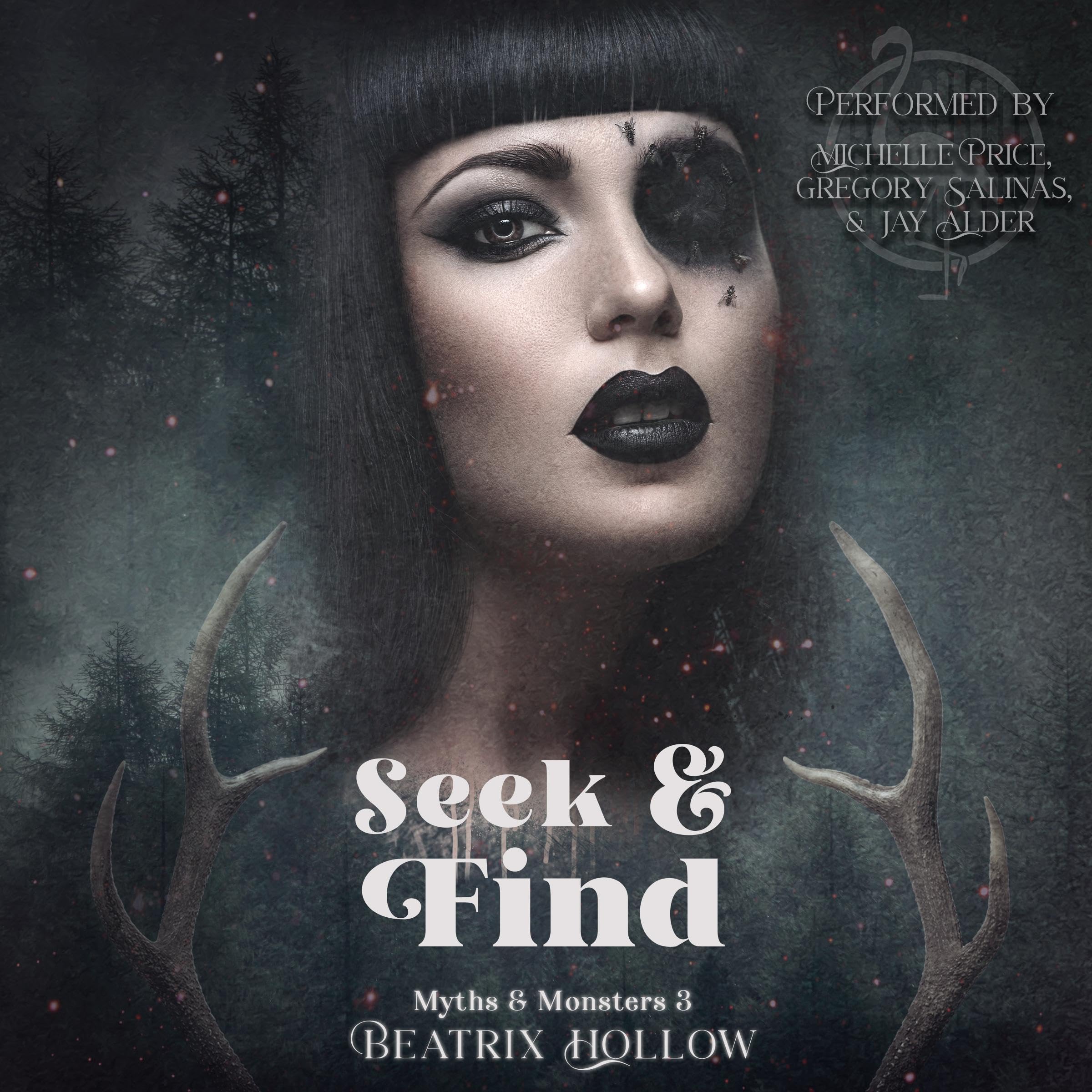 Cover art for Seek & Find