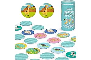 boppi Pairs Memory Matching Game for Toddlers Ages 2-4