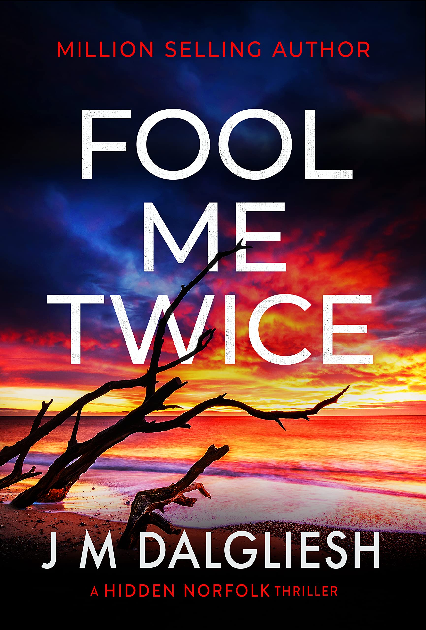 Fool Me Twice: A Hidden Norfolk Thriller (Book 10)