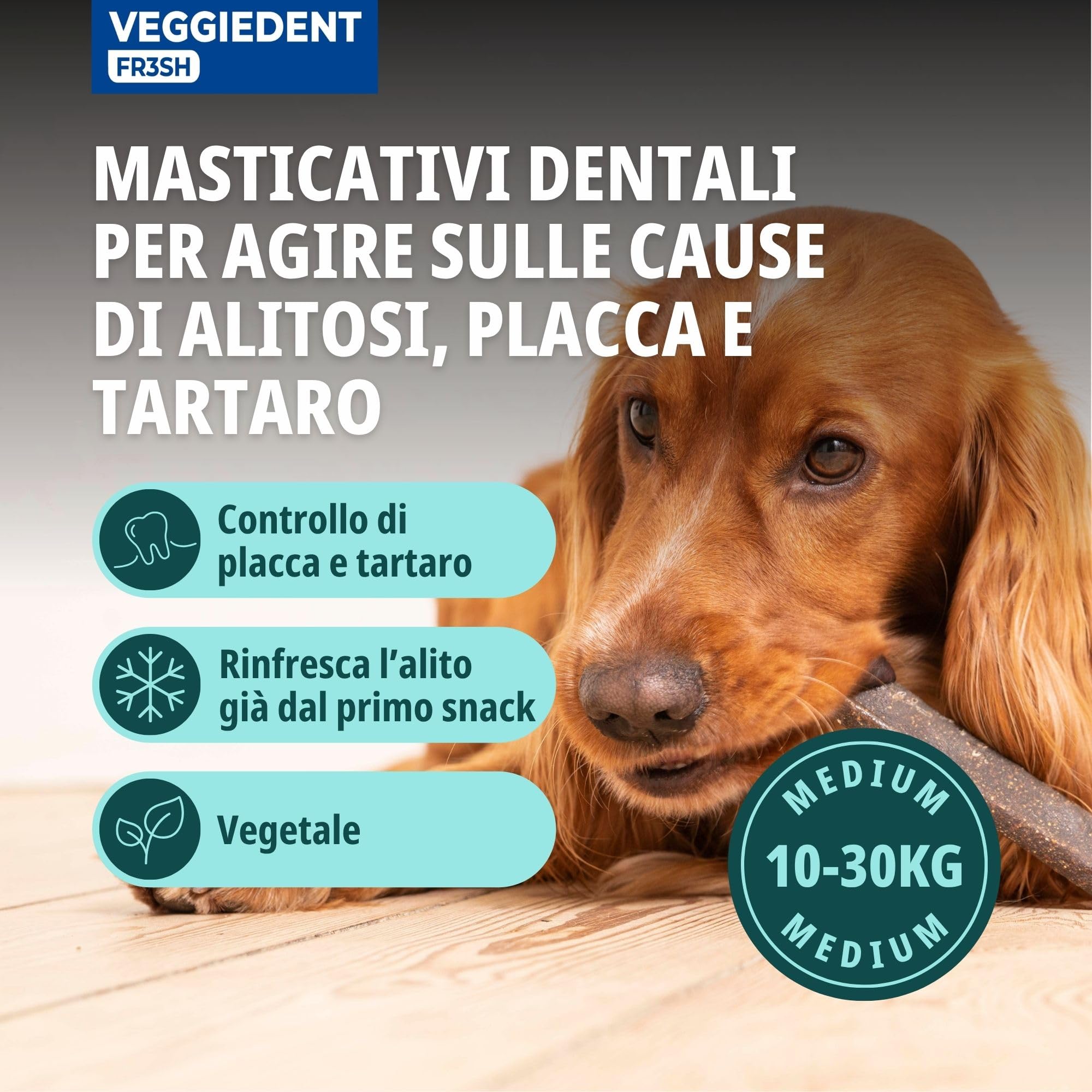 Virbac VeggieDent - Strisce da masticare per cani di taglia media (da 10 a 30 kg), 15 strisce
