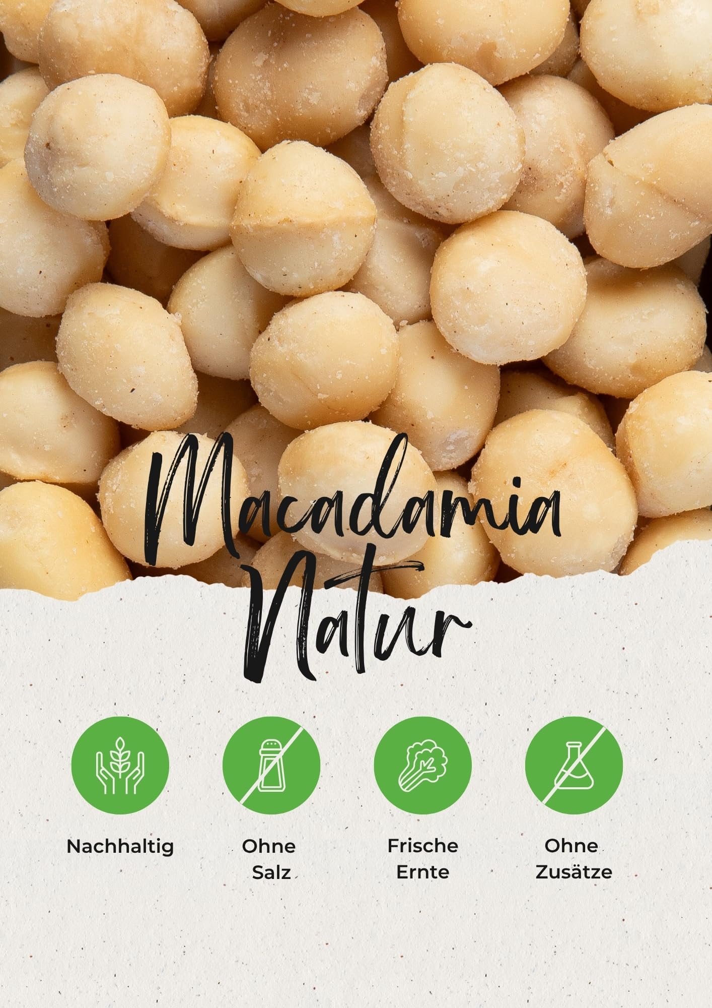 Vitalesia Macadamia Nüsse 500g | Premium Qualität aus Südafrika | roh, ungeröstet & ungesalzen | ohne Zusätze | Macadamianüsse naturbelassen 100 % | vegan