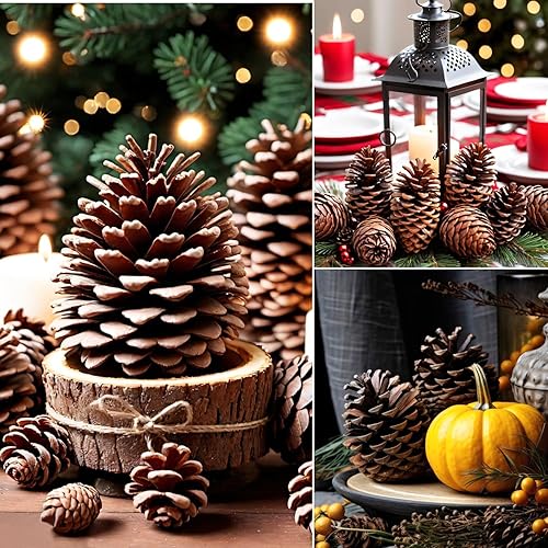 Miniatura 3 de 24 conos de pino naturales grandes de Navidad, conos de pino perfumados para decoración de Navidad, manualidades y decoración del hogar