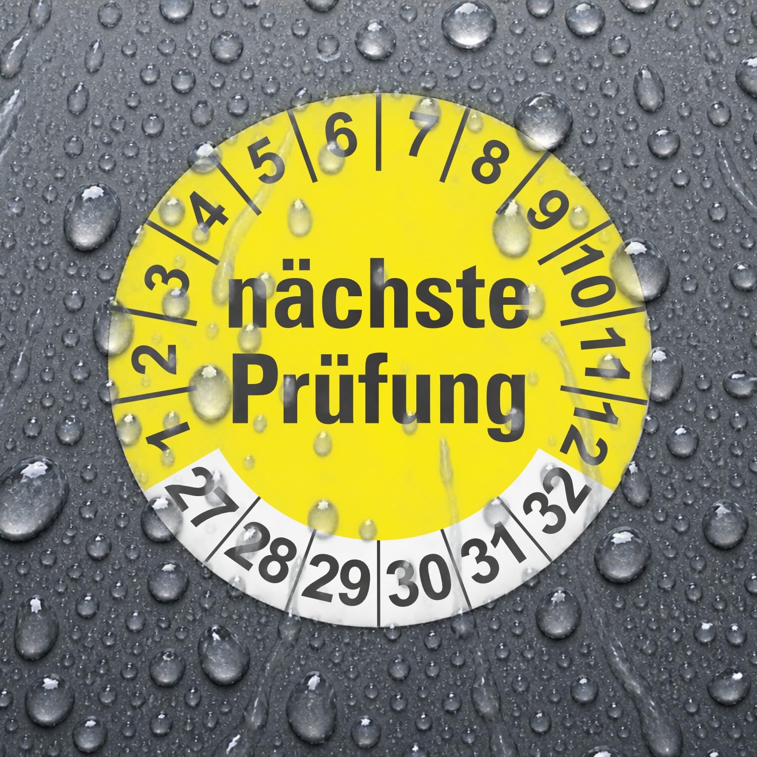 Hochwertige Prüfetiketten NÄCHSTE PRÜFUNG Ø 20mm - Selbstklebende PVC-Folie - Wartungsetiketten für Prüfung - Prüfplakette für Prüfungsnachweis (1000 Stück)