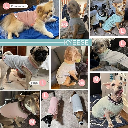 Miniatura 6 de KYEESE Paquete de 2 camisas para perros pequeños, camisetas suaves y elásticas para perros, camisetas ligeras sin mangas para perro, chaleco