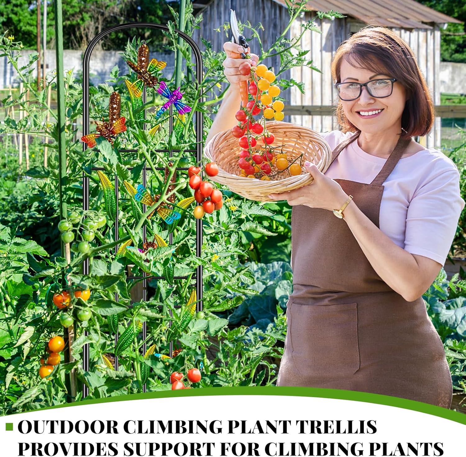 2 Pack Garden Trellis for Climbing Plants Outdoor, Metal Arched Fence Trellis Plant Climbing Support Decorative, Plant Trellis Indoor for Vines Flowers Vegetables Wall Brackets, 60 x 11