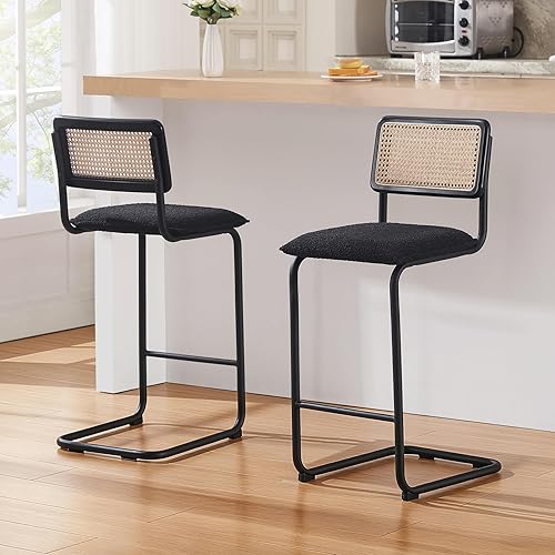 Zesthouse Juego de 2 sillas de comedor sillas laterales de ratán de terciopelo con respaldo de bastón y base cromada de acero inoxidable sillas