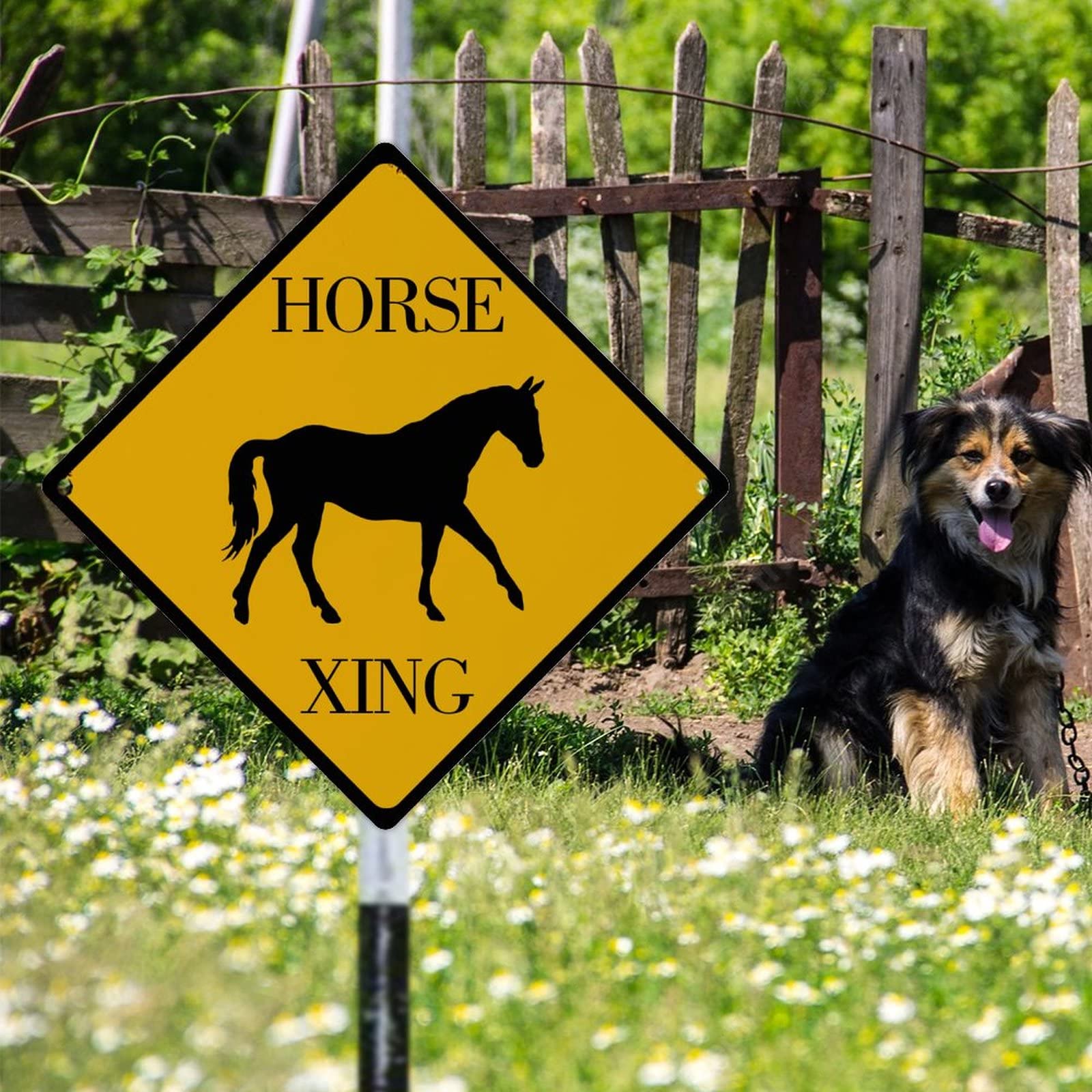 12 Inch Paard Kruisbord Voorzichtigheid Paard Xing Waarschuwing Metalen