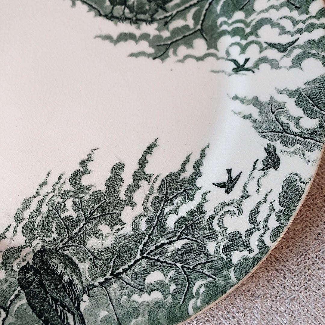 フランス アンティーク サルグミンヌ 平皿 ”NEIGE” 小鳥柄 2枚セット