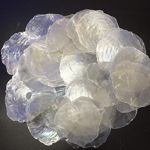 Miniatura 1 de PEPPERLONELY Ronda Natural Capiz Sea Shells, 8 OZ Apprx.27+ PC Shells, 2-34 Pulgadas  3 Pulgadas