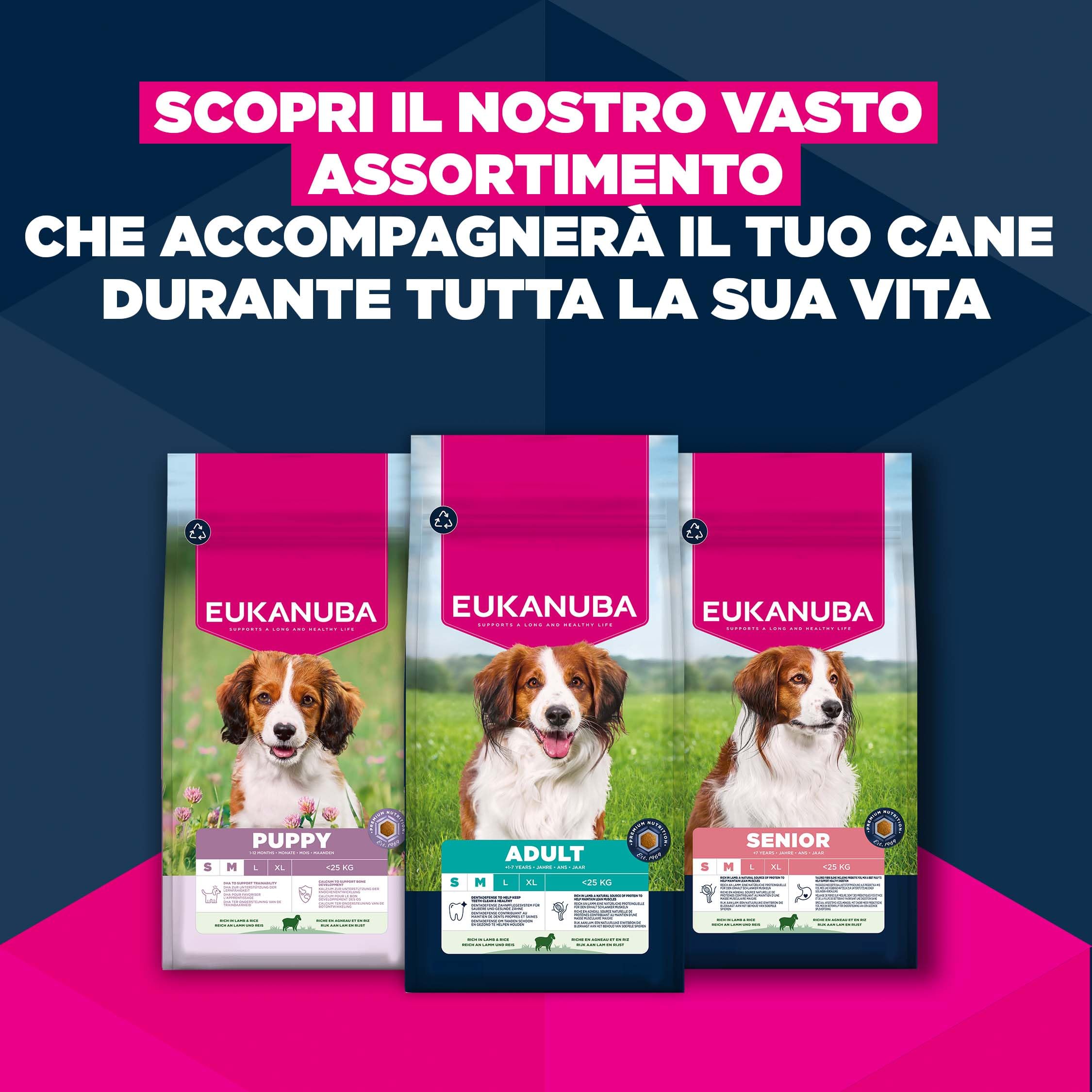 EUKANUBA Cibo secco per Cuccioli con agnello e riso per razze di taglia piccola e media - Alimento secco premium per Cani giovani, 3 kg