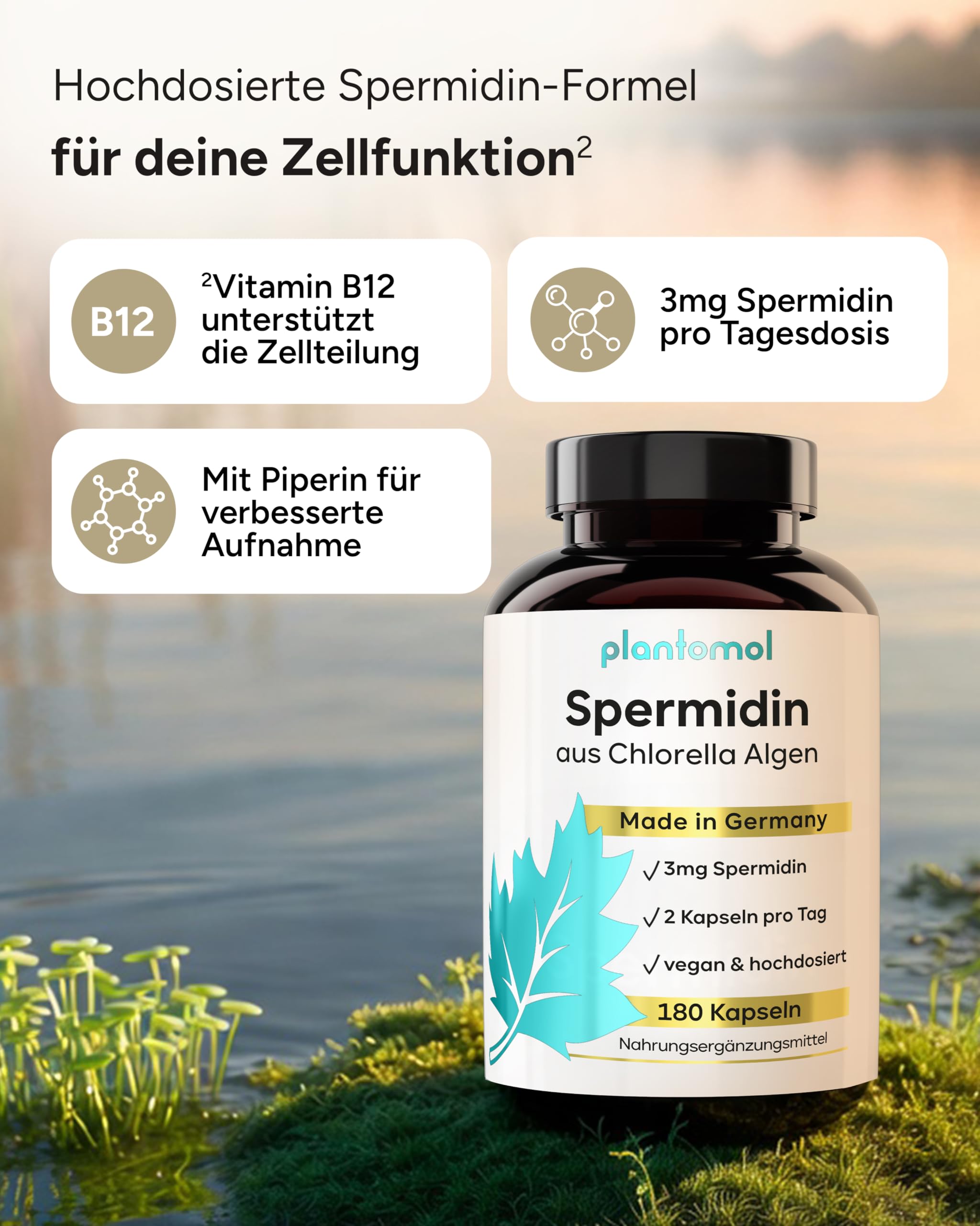 180 Spermidin Kapseln hochdosiert aus Chlorella - hoher natürlicher Chlorophyll Gehalt + 3mg Spermidine hochdosiert - 3 Monatsvorrat