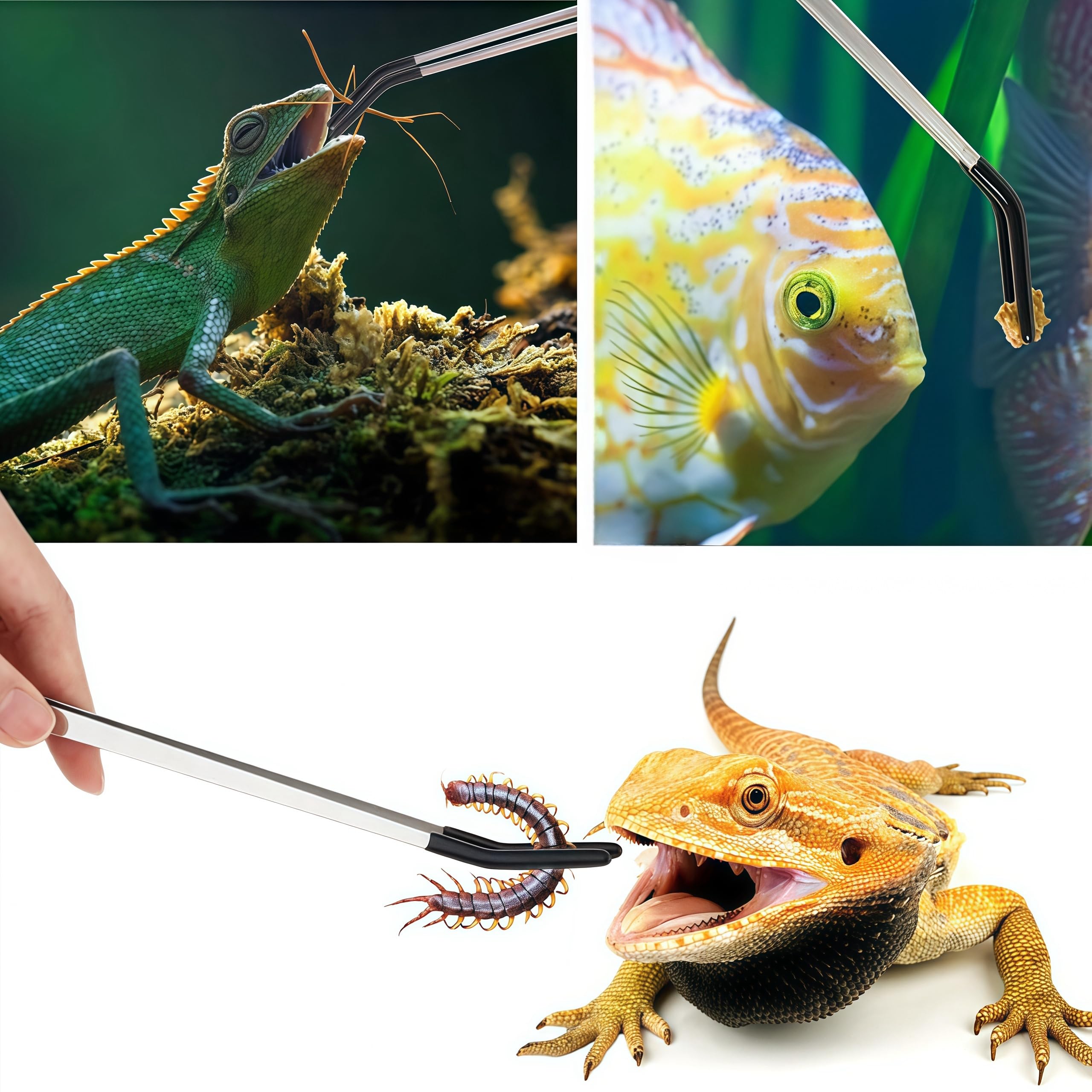 Pinze Per Alimentazione Rettili WHYCNJL - 2 Pezzi 30cm, Acciaio Inox Con Punta In Gomma - Foto 4