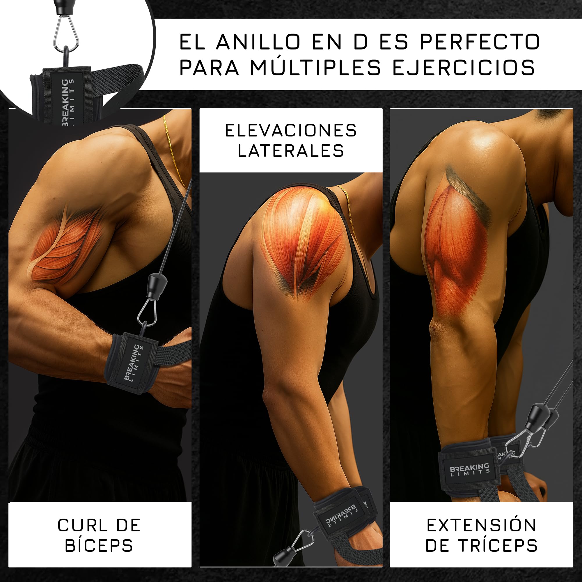BREAKING LIMITS Wrist Cuffs Gym - Correas de tracción para entrenamiento de fuerza - Correas para la mano Gimnasio - Correa de elevación lateral para la muñeca - Correas de elevación para hombres y