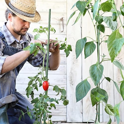 Miniatura 3 de Hotop 35 estacas de jardín, estacas de jardín, soporte para plantas, estacas de metal resistentes para tomate, 47.2 pulgadas