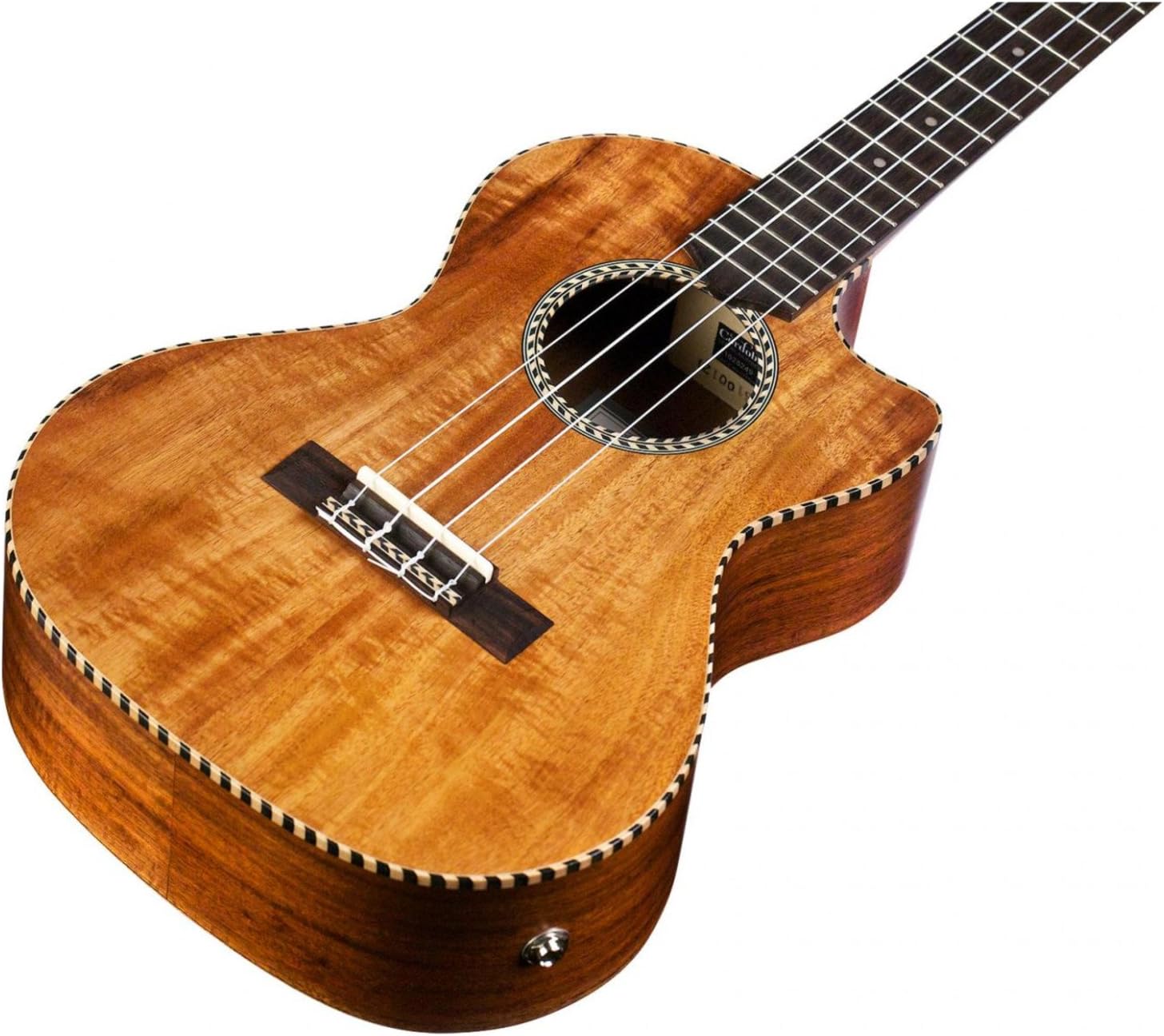 Cordoba 25TCE Cutaway Electric Tenor Ukulele