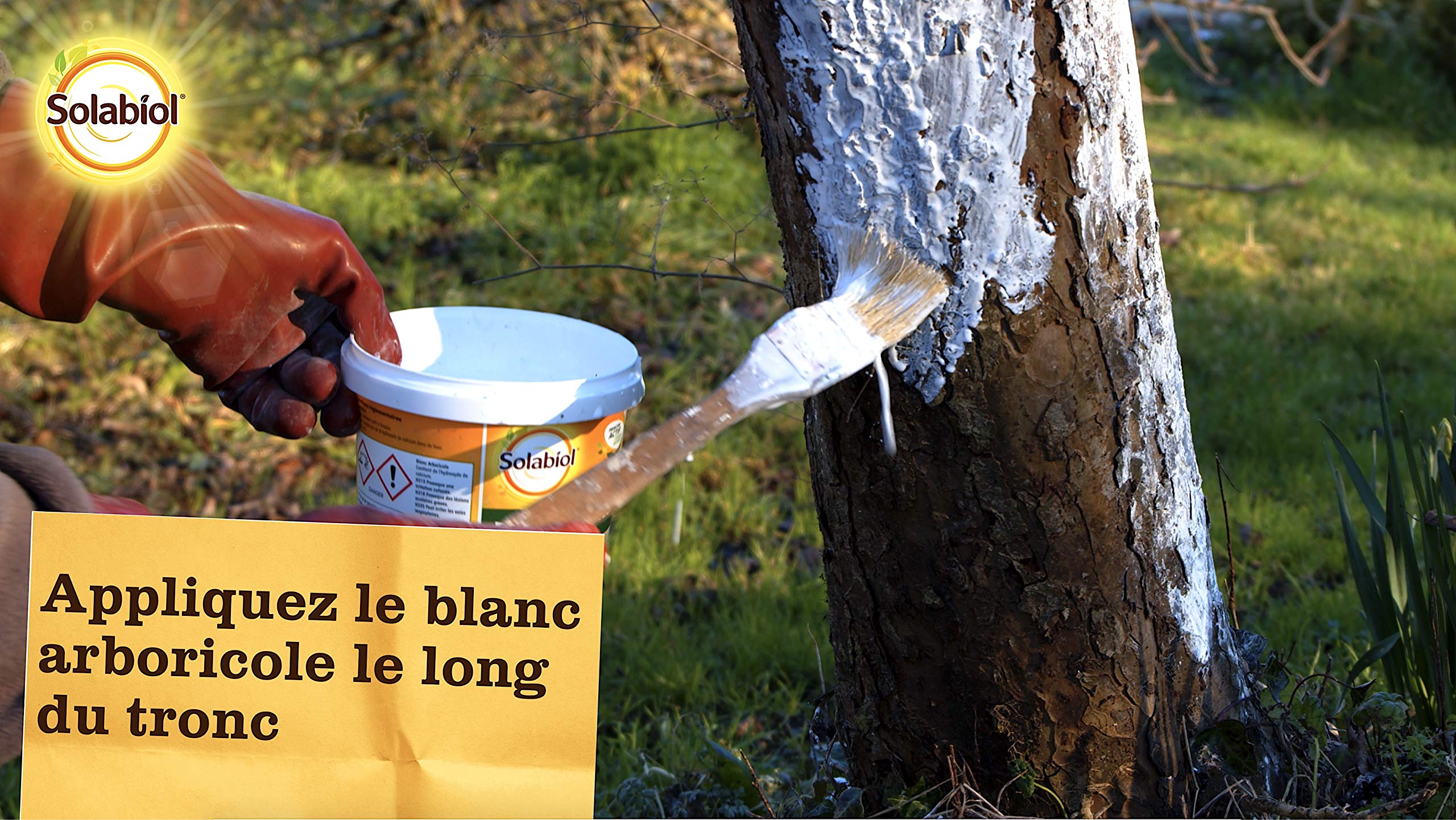 Solabiol SOBLANC3 Blanc Arboricole 3L |Facile à Appliquer avec Un Pinceaux, Multicolore & Fertiligène Bande de Glu 5 m Pelton Fer-BANDF