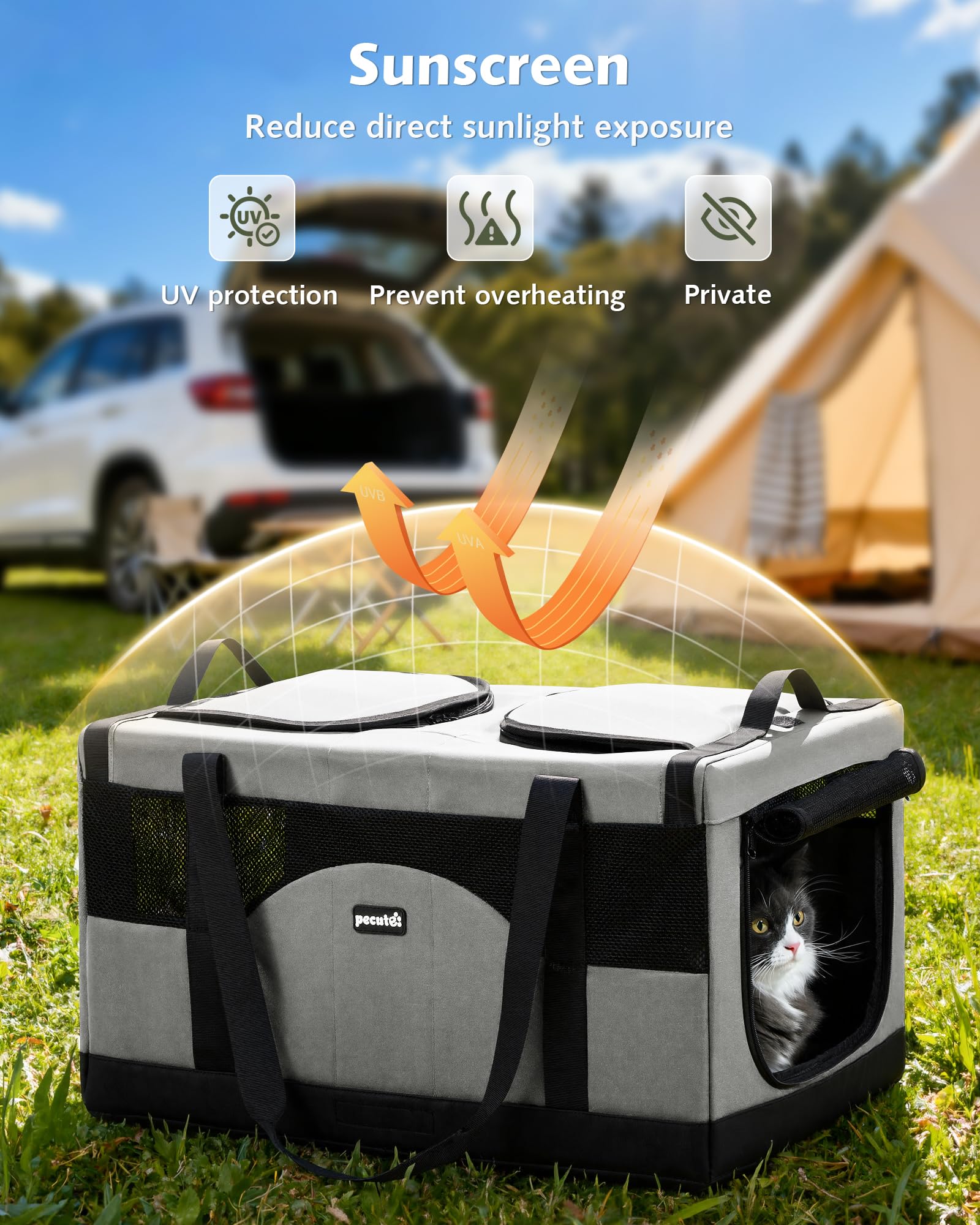 Pecute Transportín para Gatos con Doble Compartimento, ultraestable, Transpirable y Plegable, Ideal para Viajes, mudanzas y visitas al Veterinario, Gris