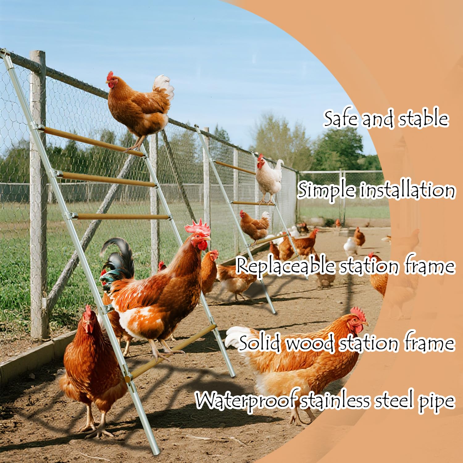 Kostki do koszenia dla kurczaków w kurniku, duża kurnik dla drobiu i kurnika, 5-poziomowa konstrukcja z 5 drewnianymi prętami do regulacji wysokości i odstępów, 132 cm dł. x 102 cm szer