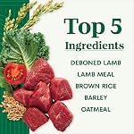 NUTRO Natural Choice Small Bites Adult Dry Dog Food Lamb & Brown Rice Recipe 2.27kg (5LB)