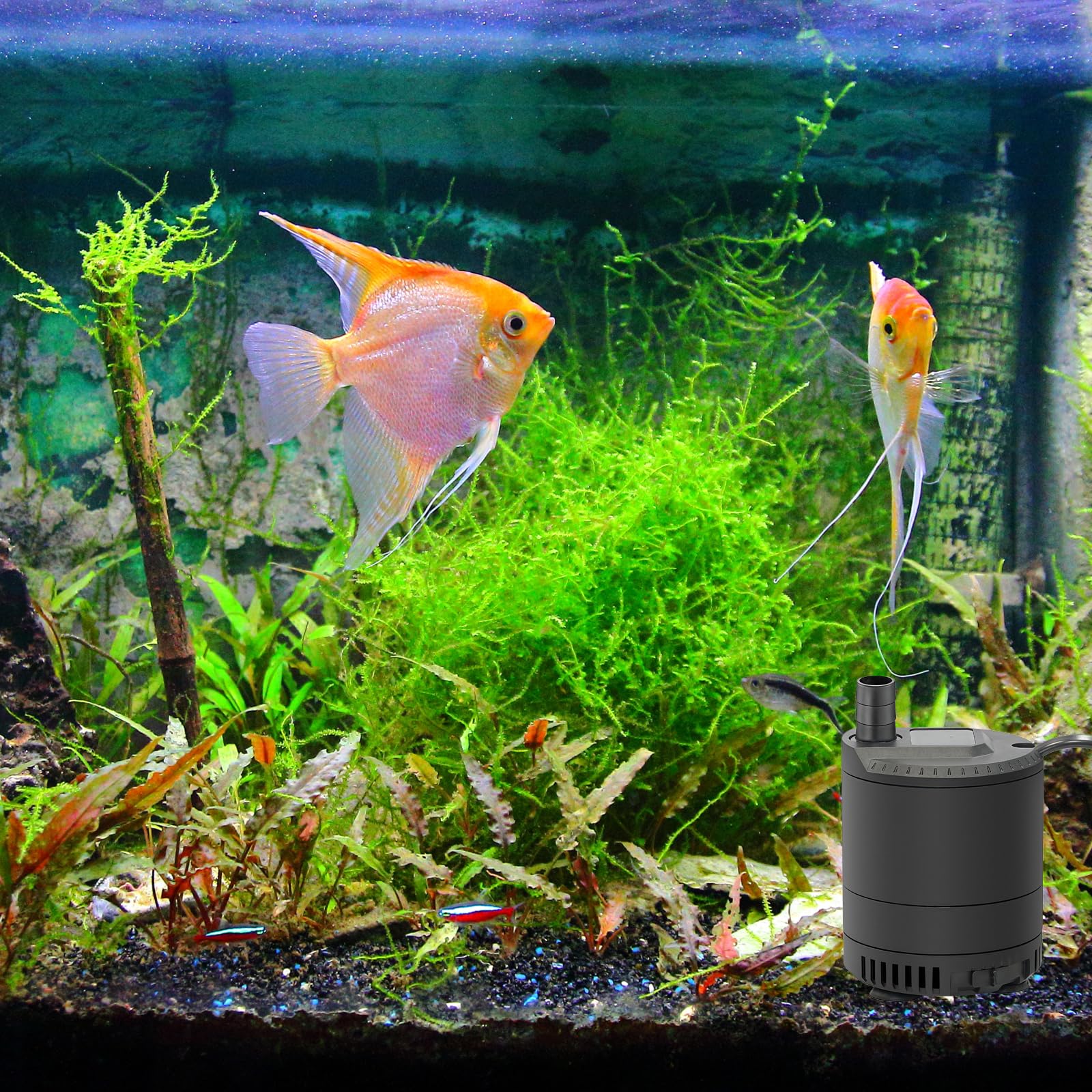 Pompa do oczka wodnego do użytku na zewnątrz, 20 W, 1500 l/h, bardzo cicha pompa fontannowa z regulowaną ilością tłoczenia, mini pompa wodna do stawu ogrodowego, akwarium, wodospadu, fontanny