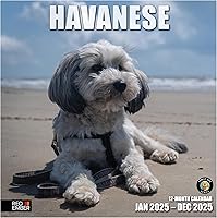 Vista 64 de RED EMBER Calendario de pared 2025 con diseño de cachorros de 12 meses, 12 x 24 pulgadas, abierto, papel grueso y resistente, para regalo