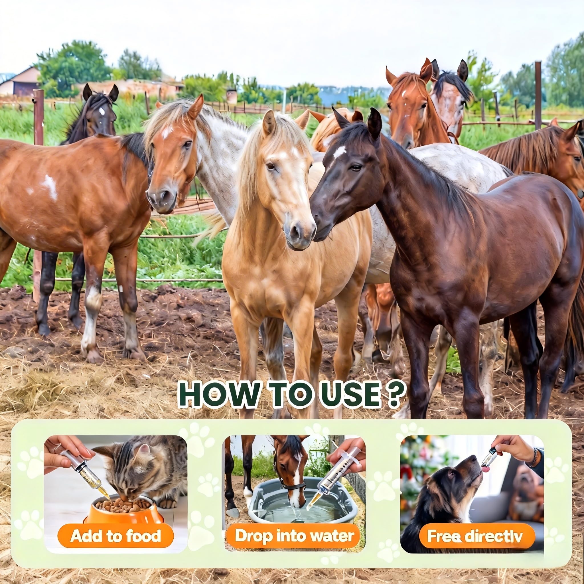 lvermect für Pferd, Pferd für Wurmex, 100 ml
